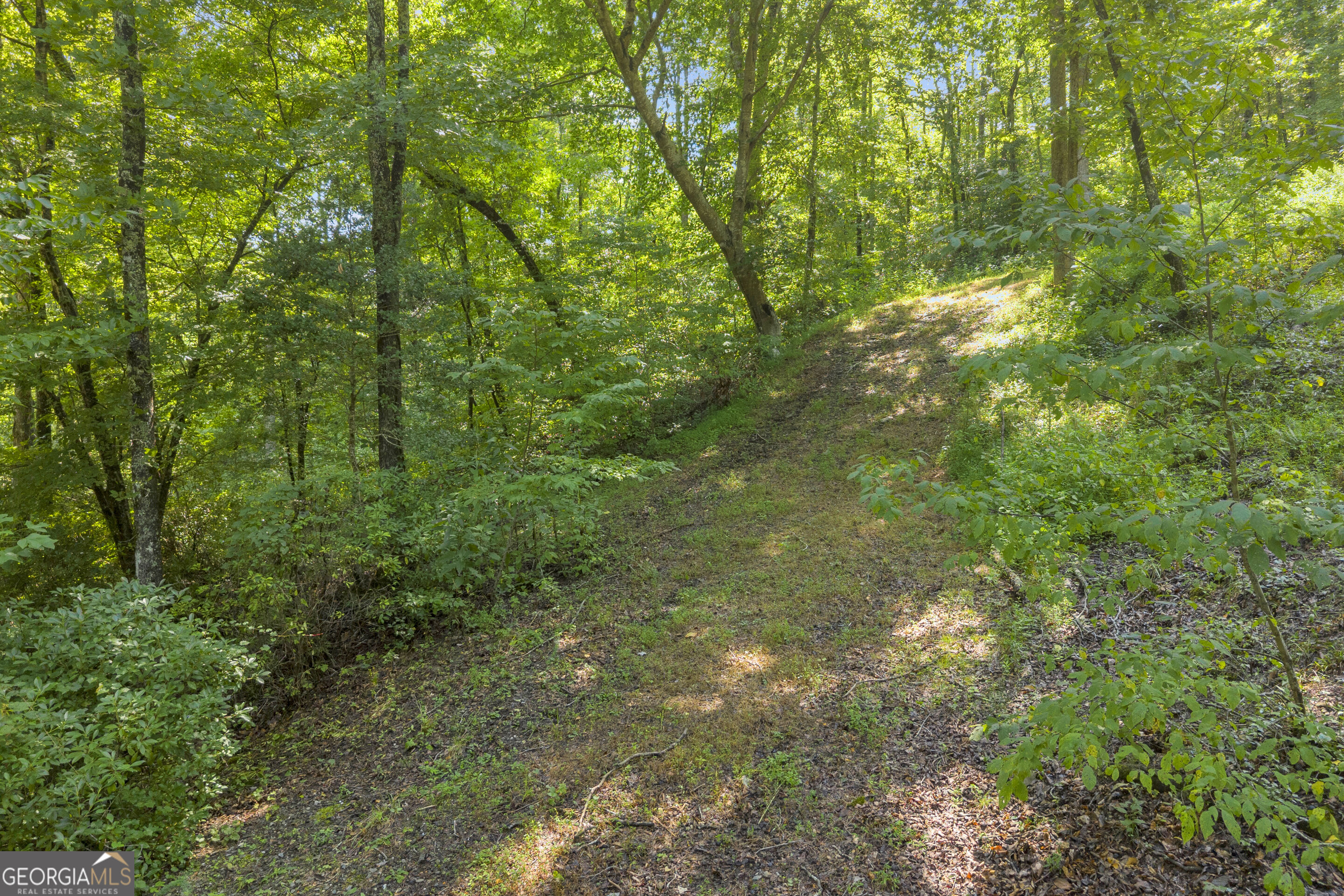 0 Waters Edge Trail Property Photo 29