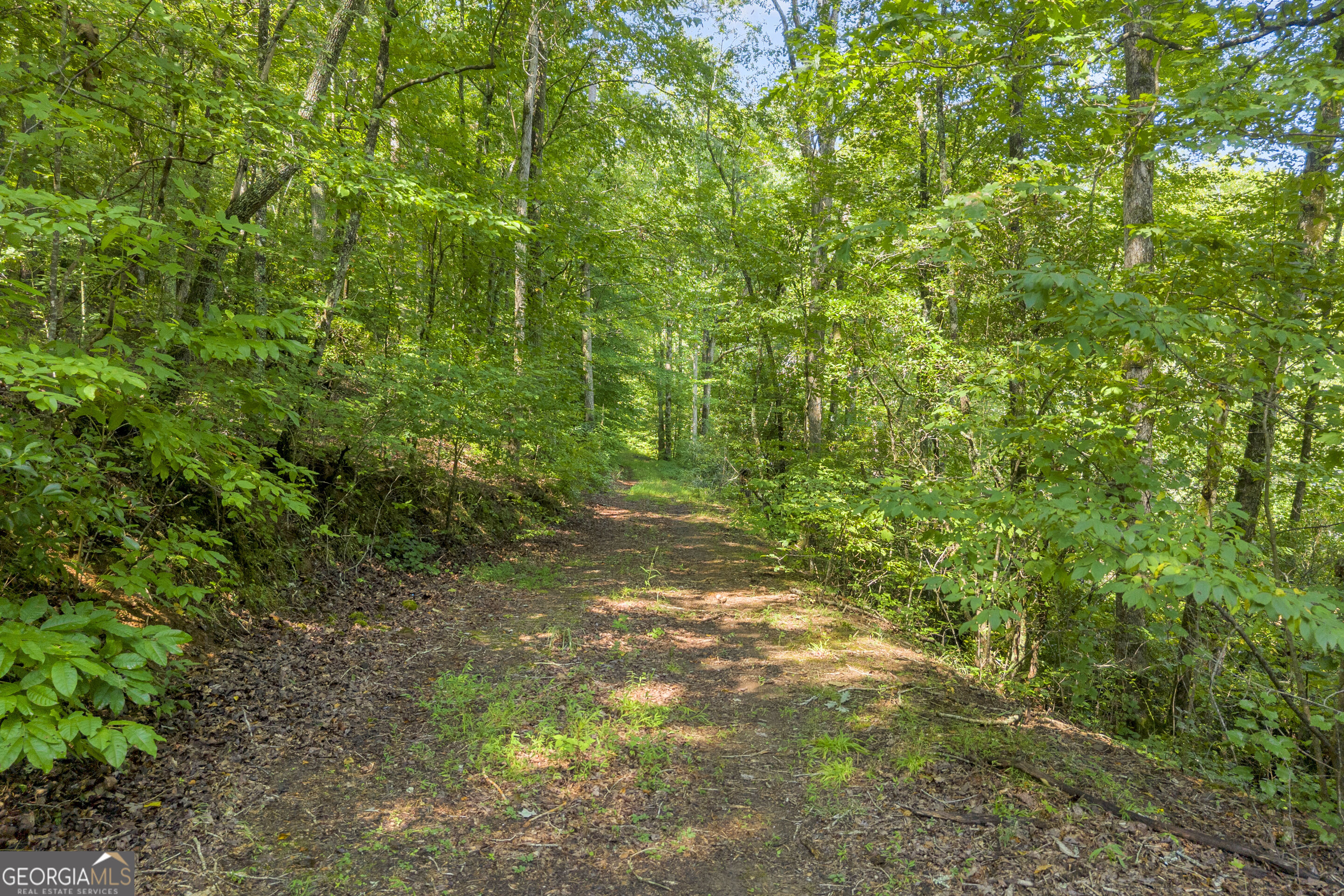 0 Waters Edge Trail Property Photo 32