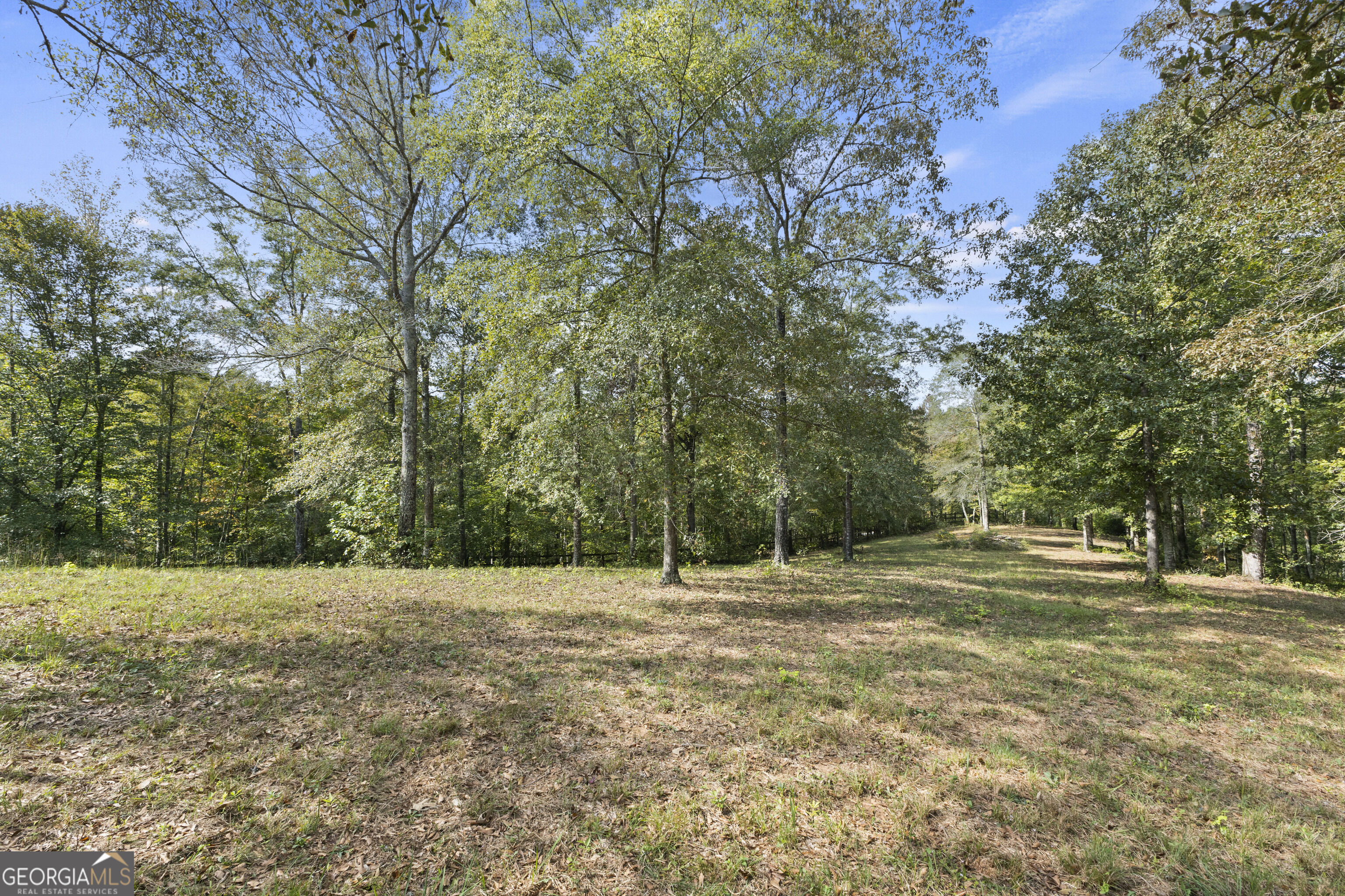 4 County Road 244 Property Photo 35