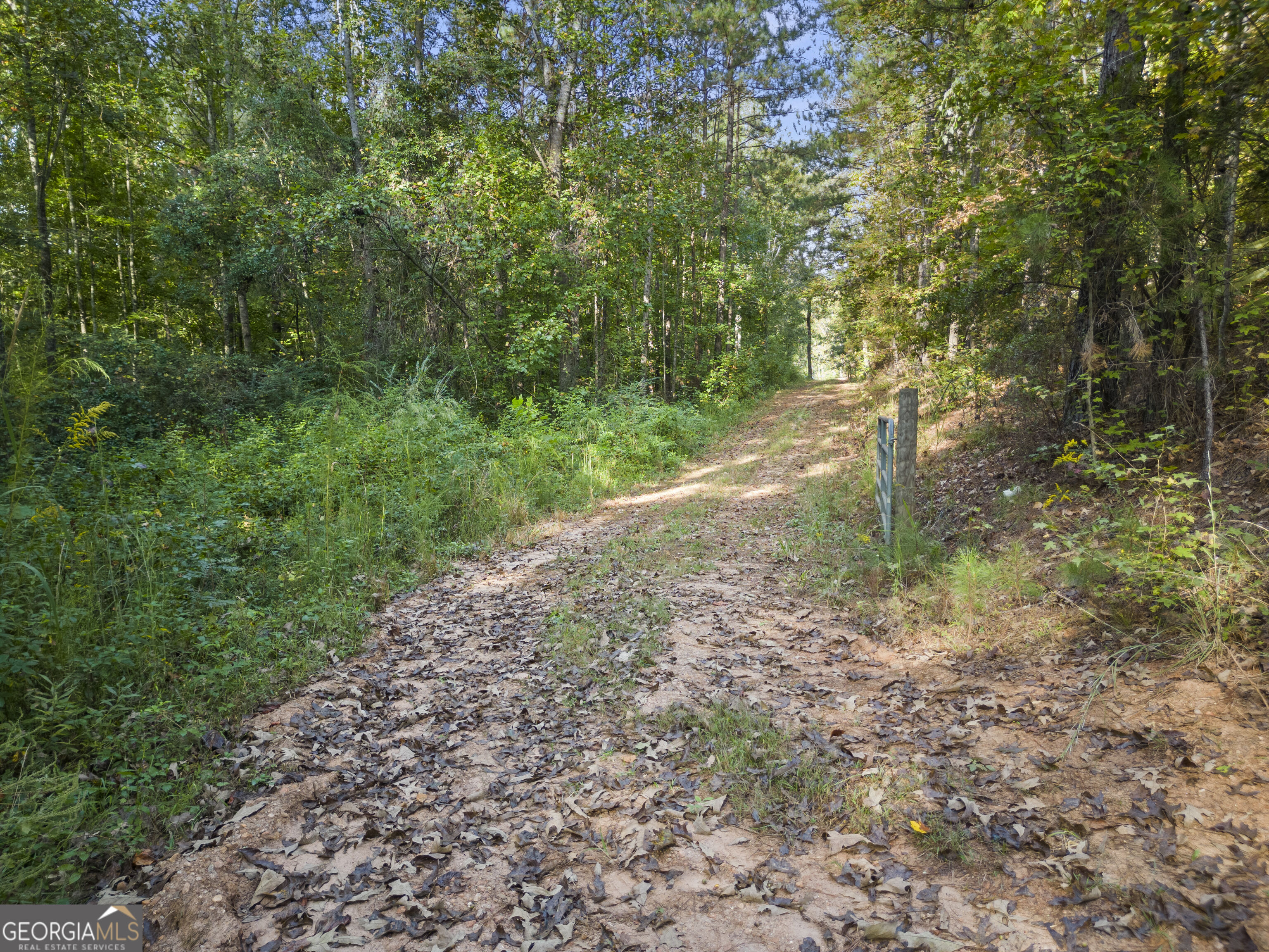 4 County Road 244 Property Photo 41