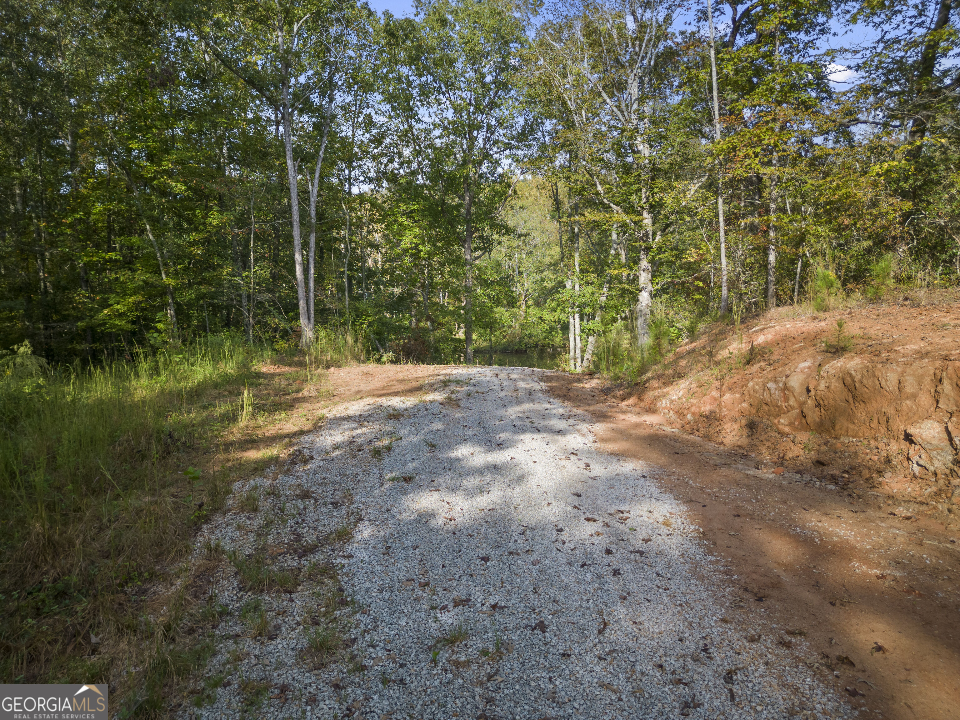 4 County Road 244 Property Photo 43