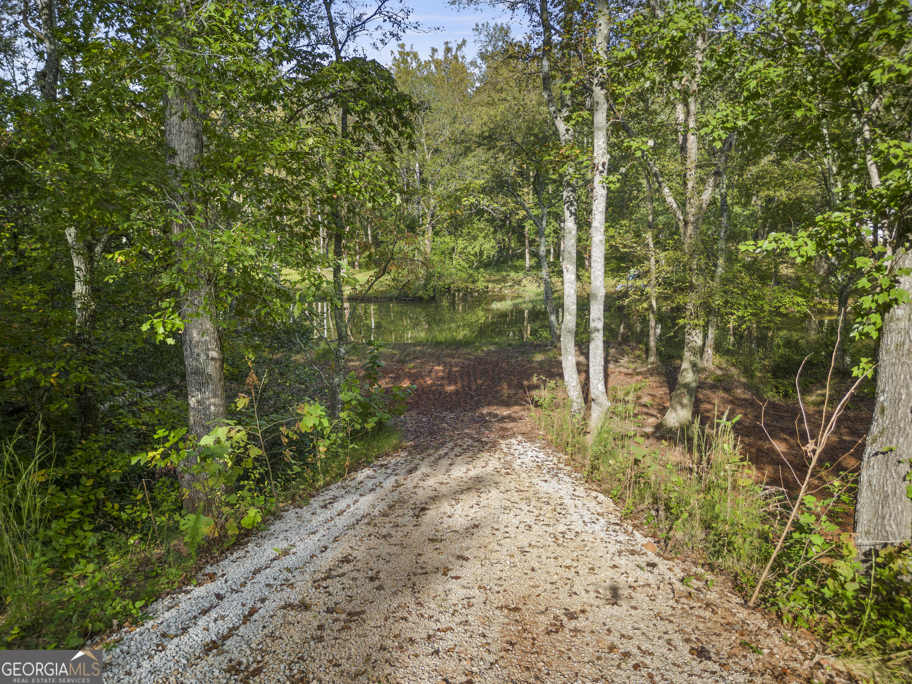 4 County Road 244 Property Photo 44