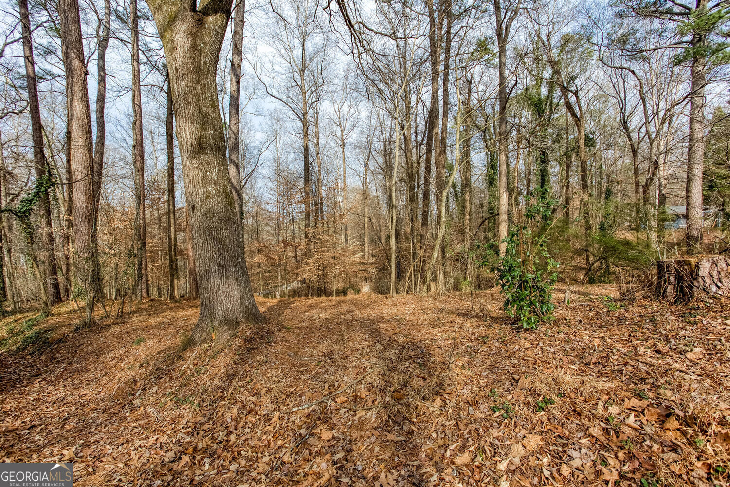 111 Maple Property Photo 2