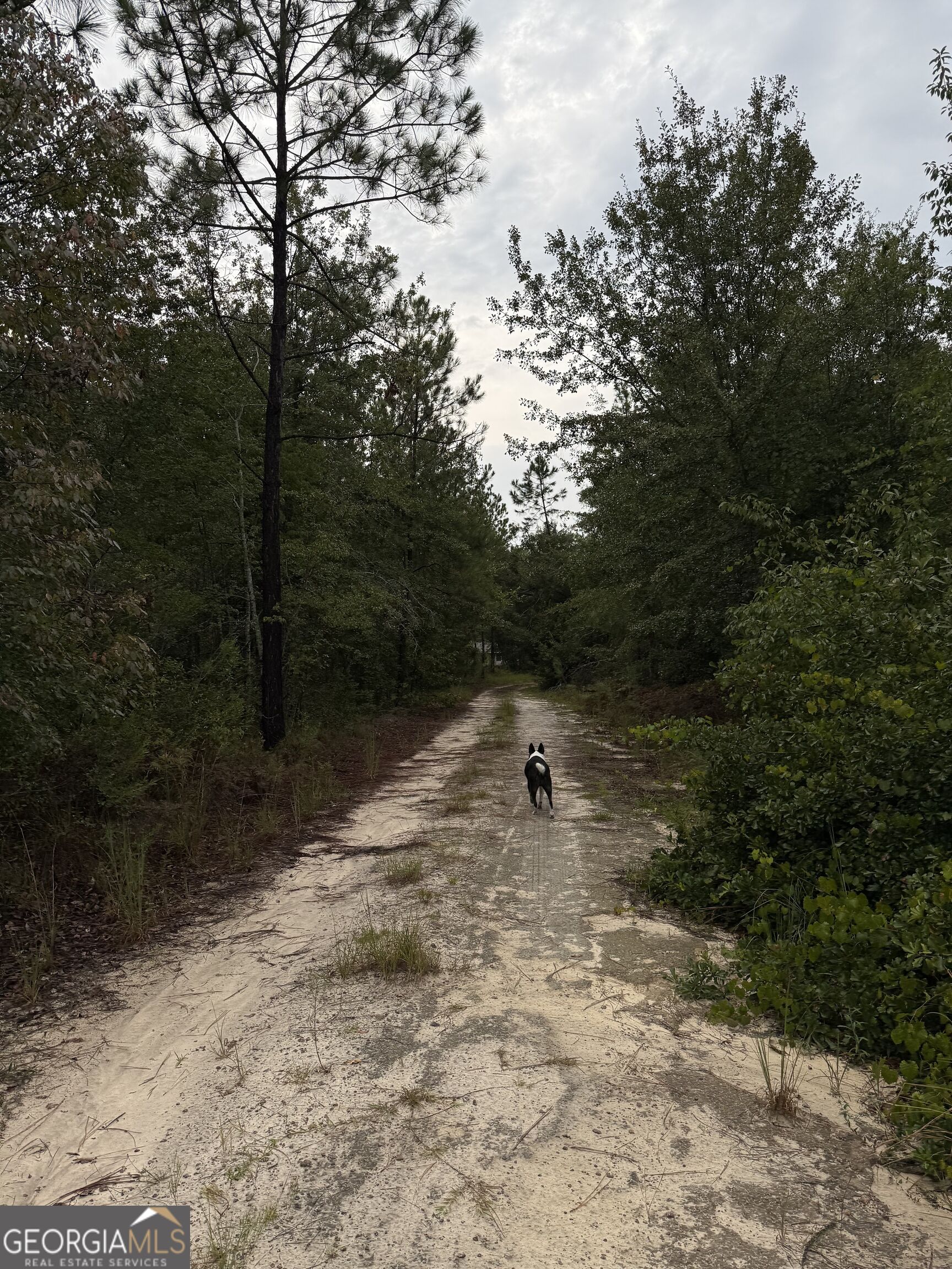 416 Ga Highway 107 Property Photo 4