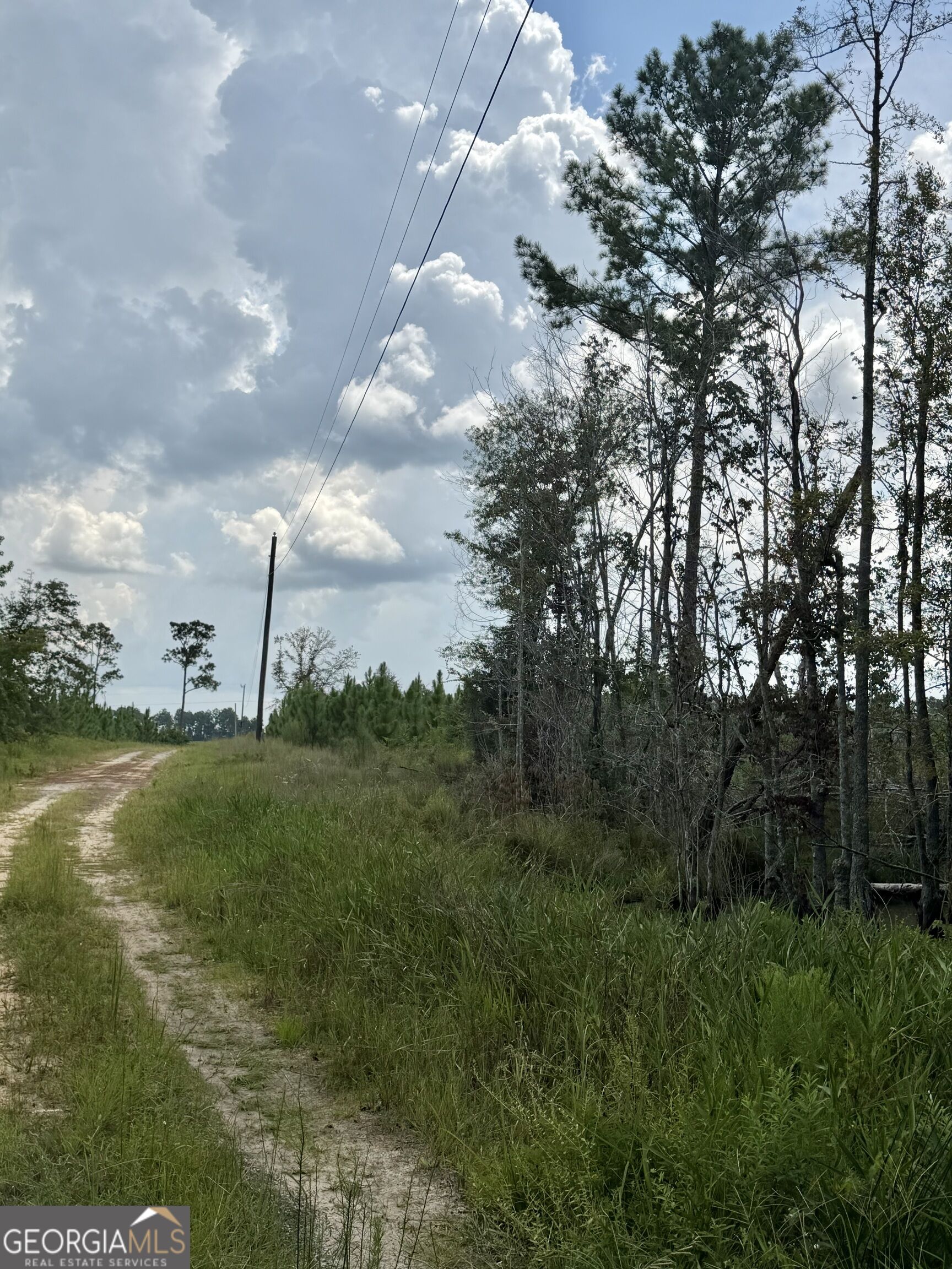 416 Ga Highway 107 Property Photo 5