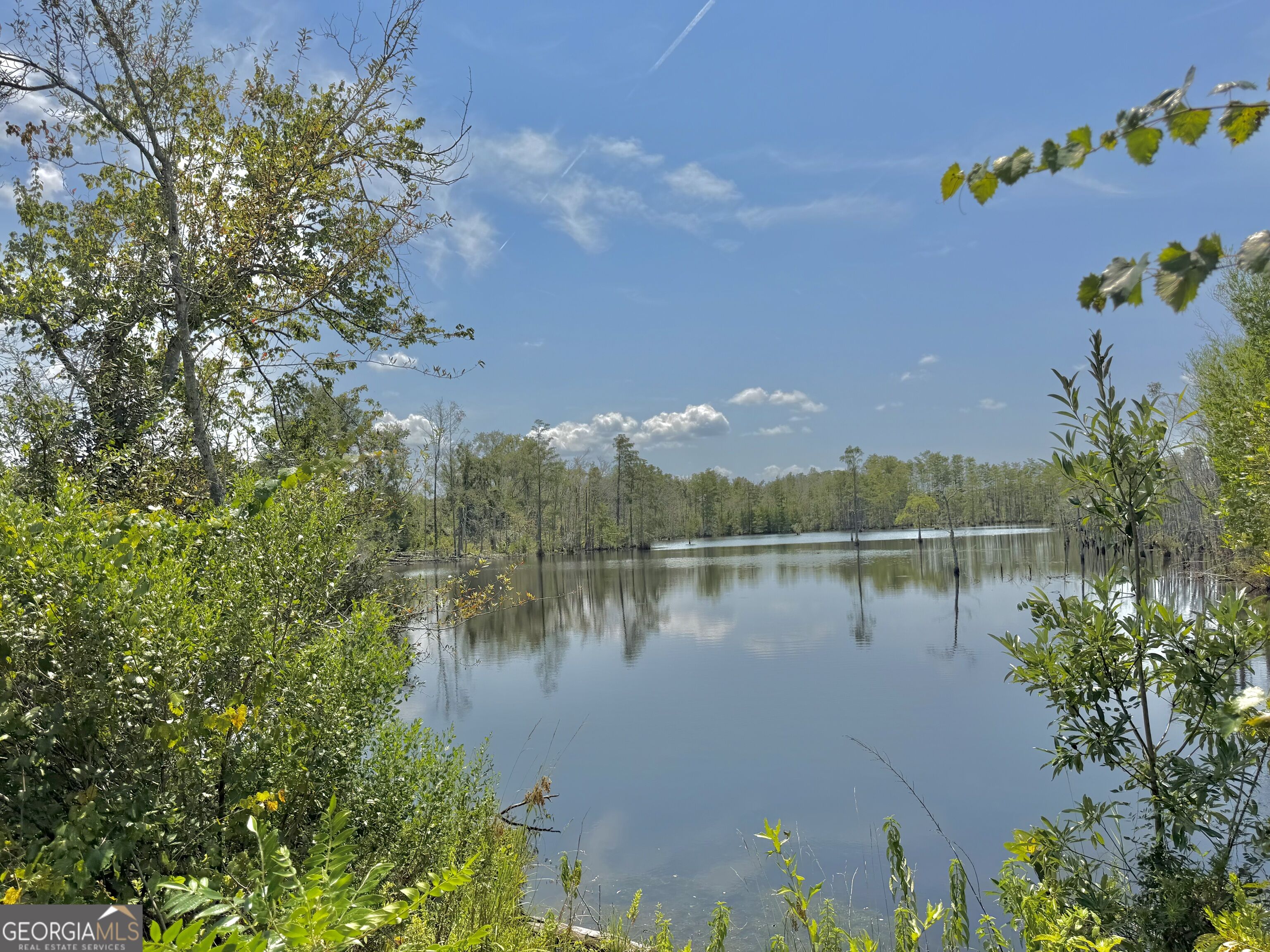 416 Ga Highway 107 Property Photo 6