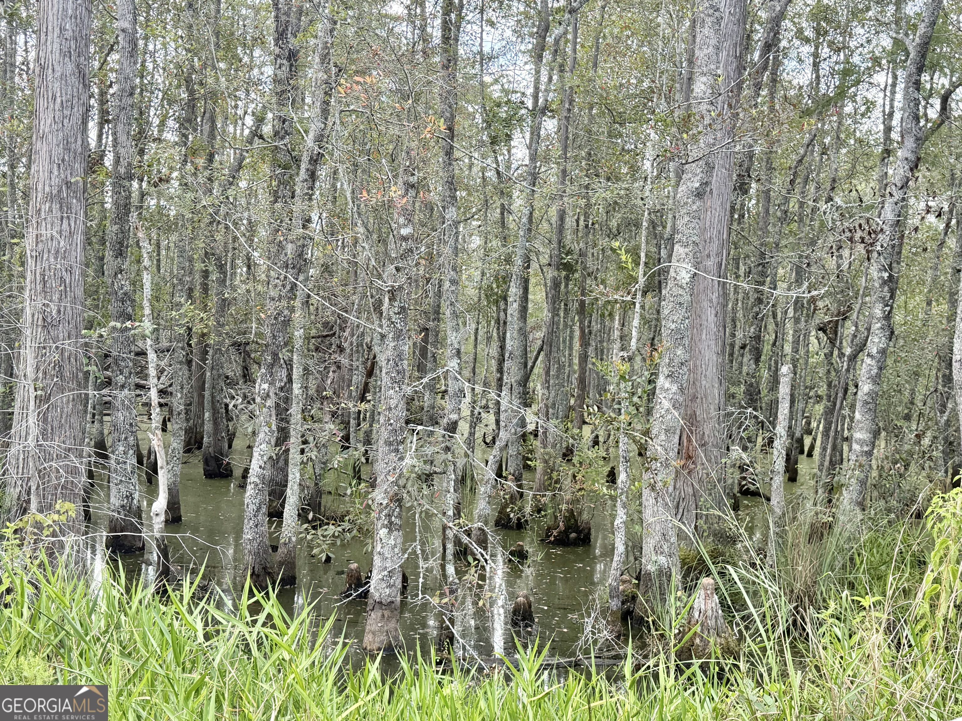 416 Ga Highway 107 Property Photo 7