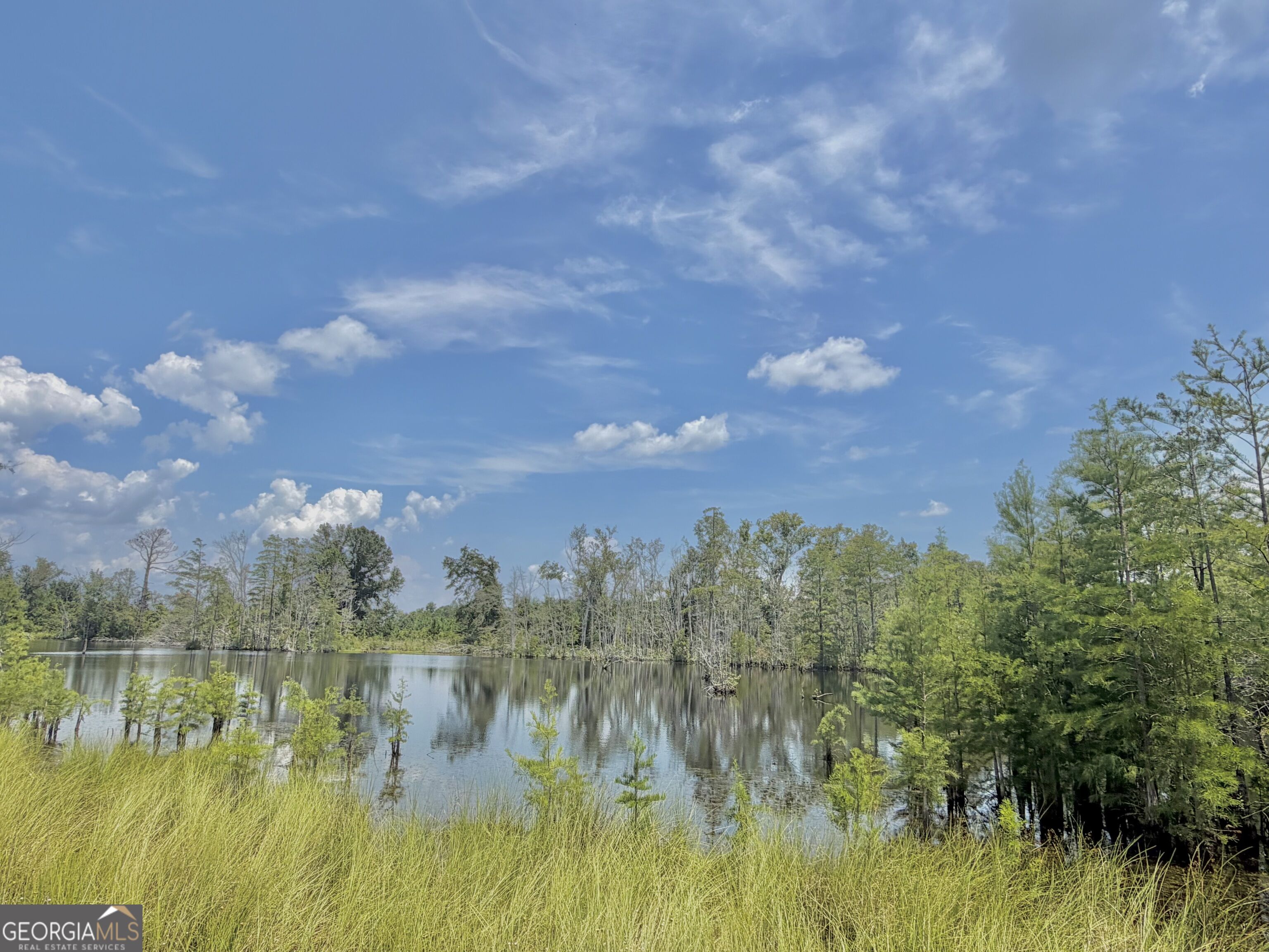 416 Ga Highway 107 Property Photo 8