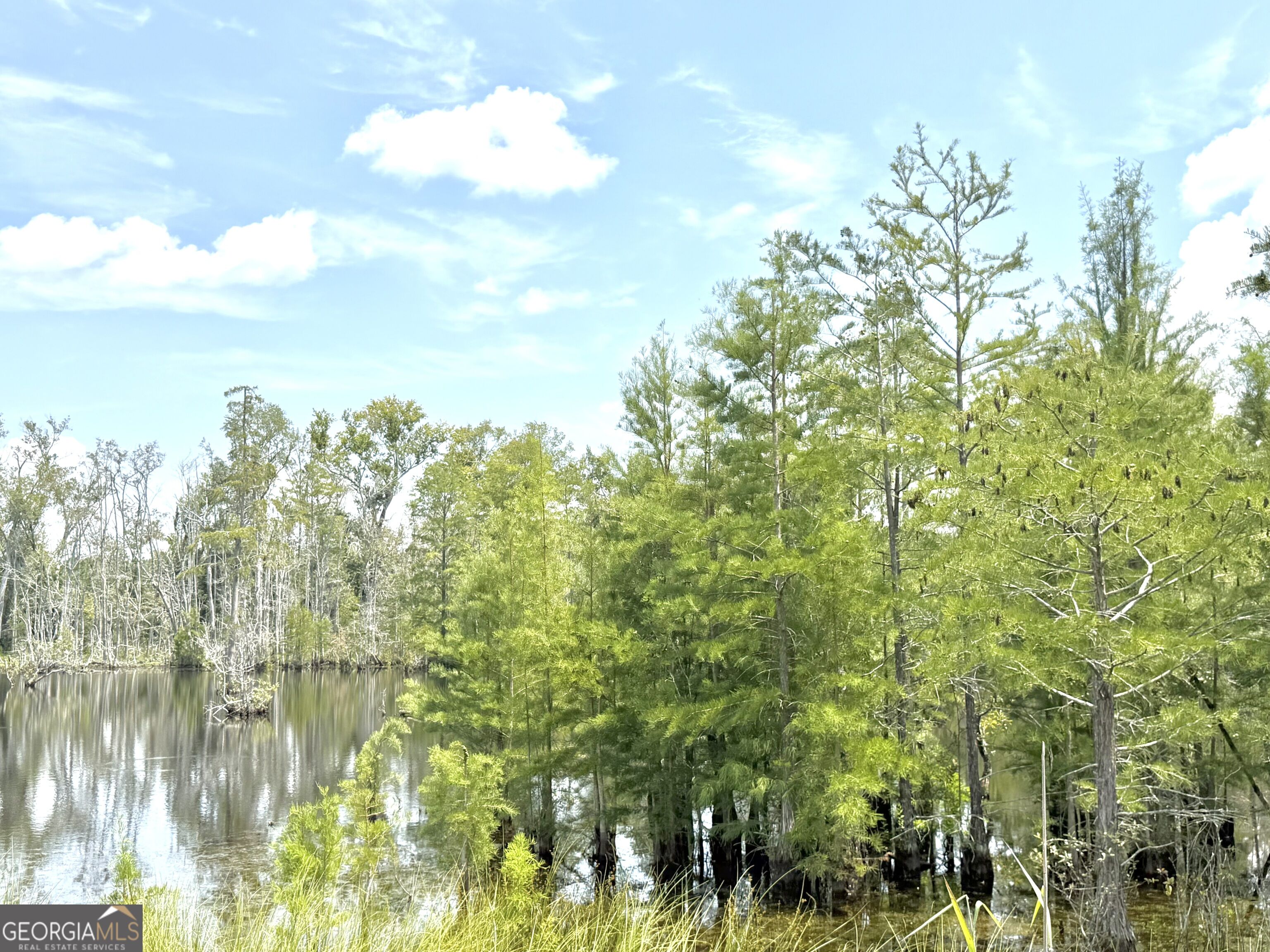 416 Ga Highway 107 Property Photo 9