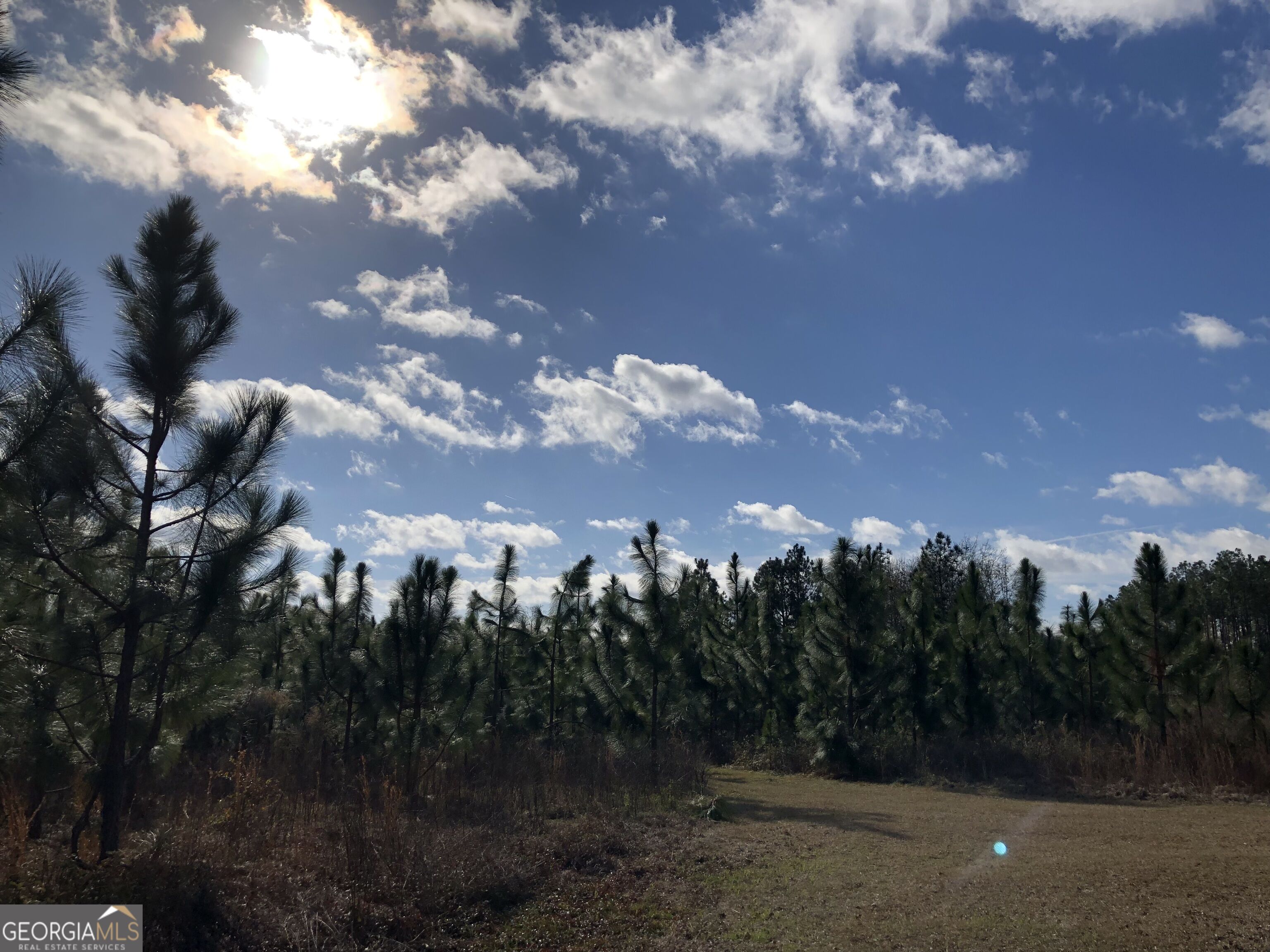 416 Ga Highway 107 Property Photo 31
