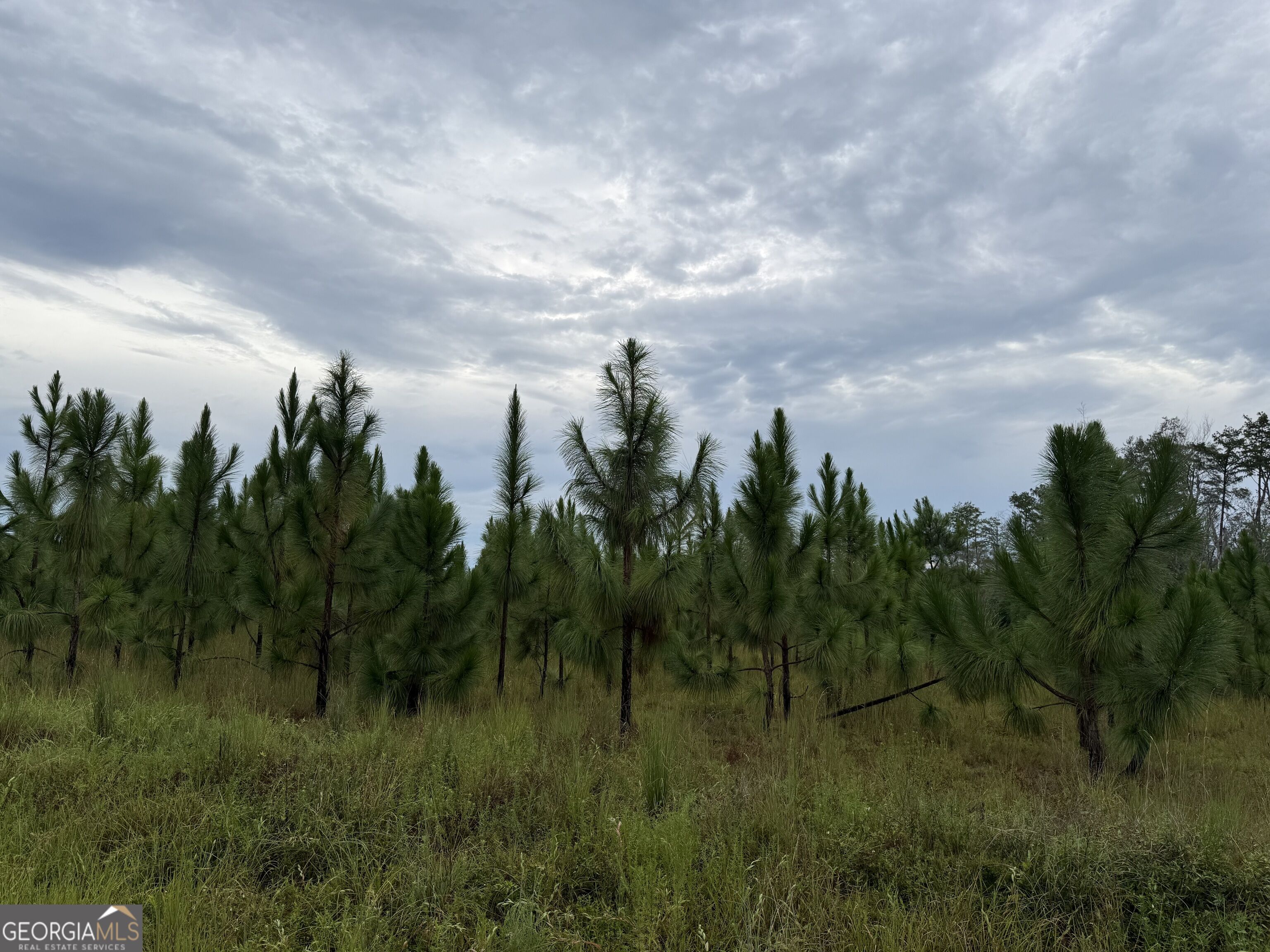 416 Ga Highway 107 Property Photo 32