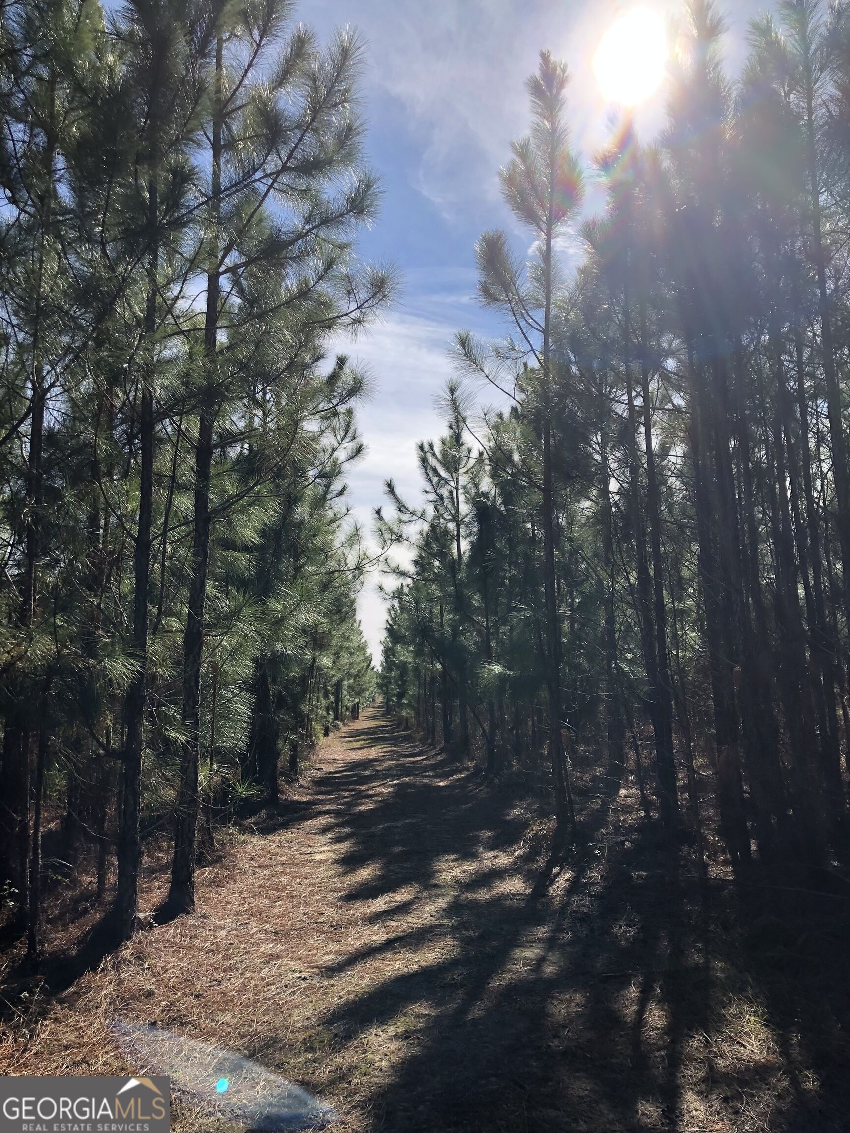 416 Ga Highway 107 Property Photo 34