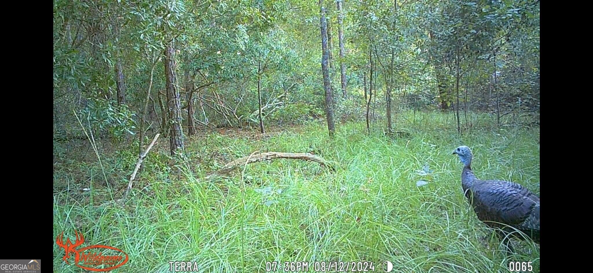 416 Ga Highway 107 Property Photo 36