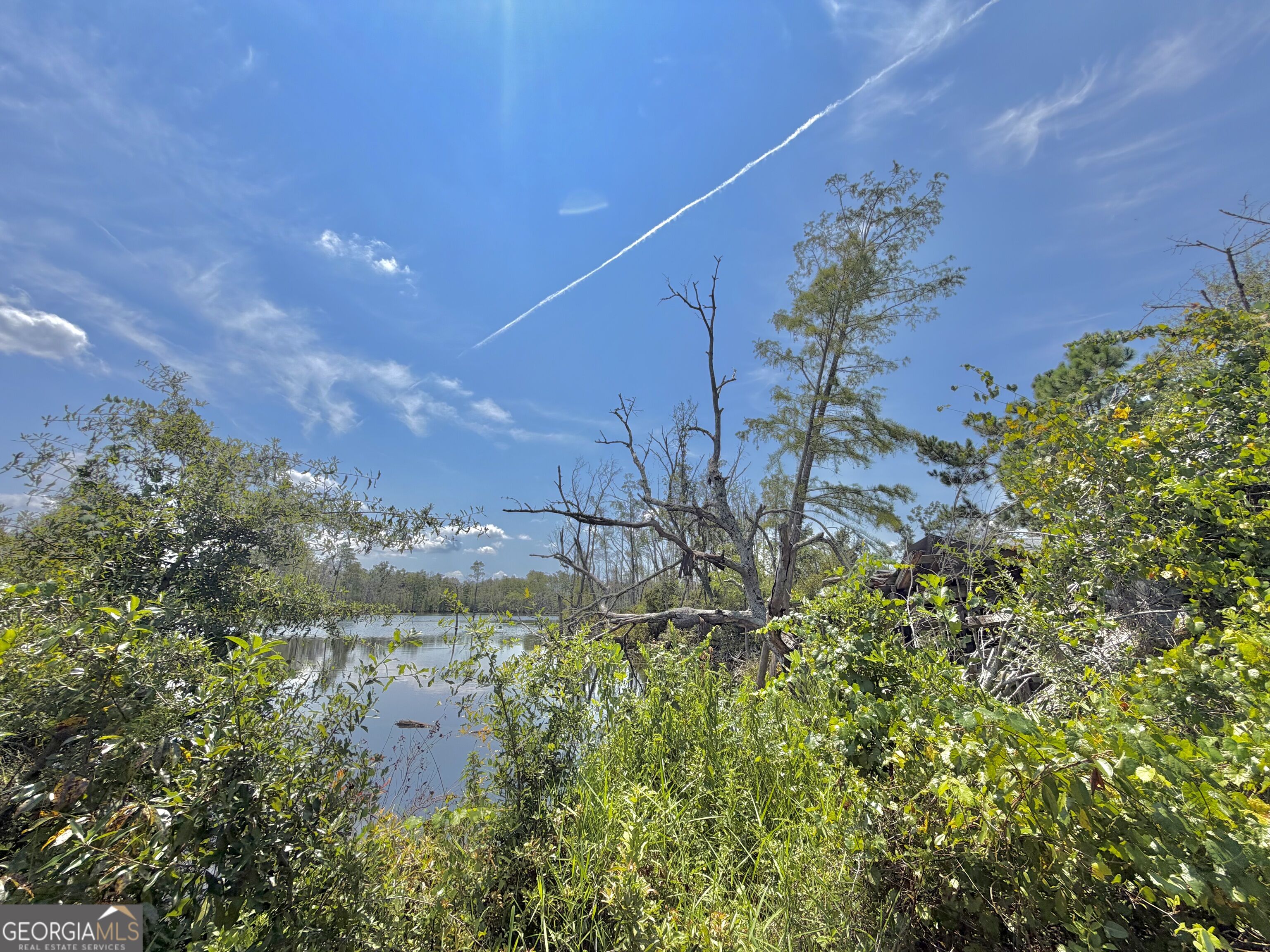 416 Ga Highway 107 Property Photo 38