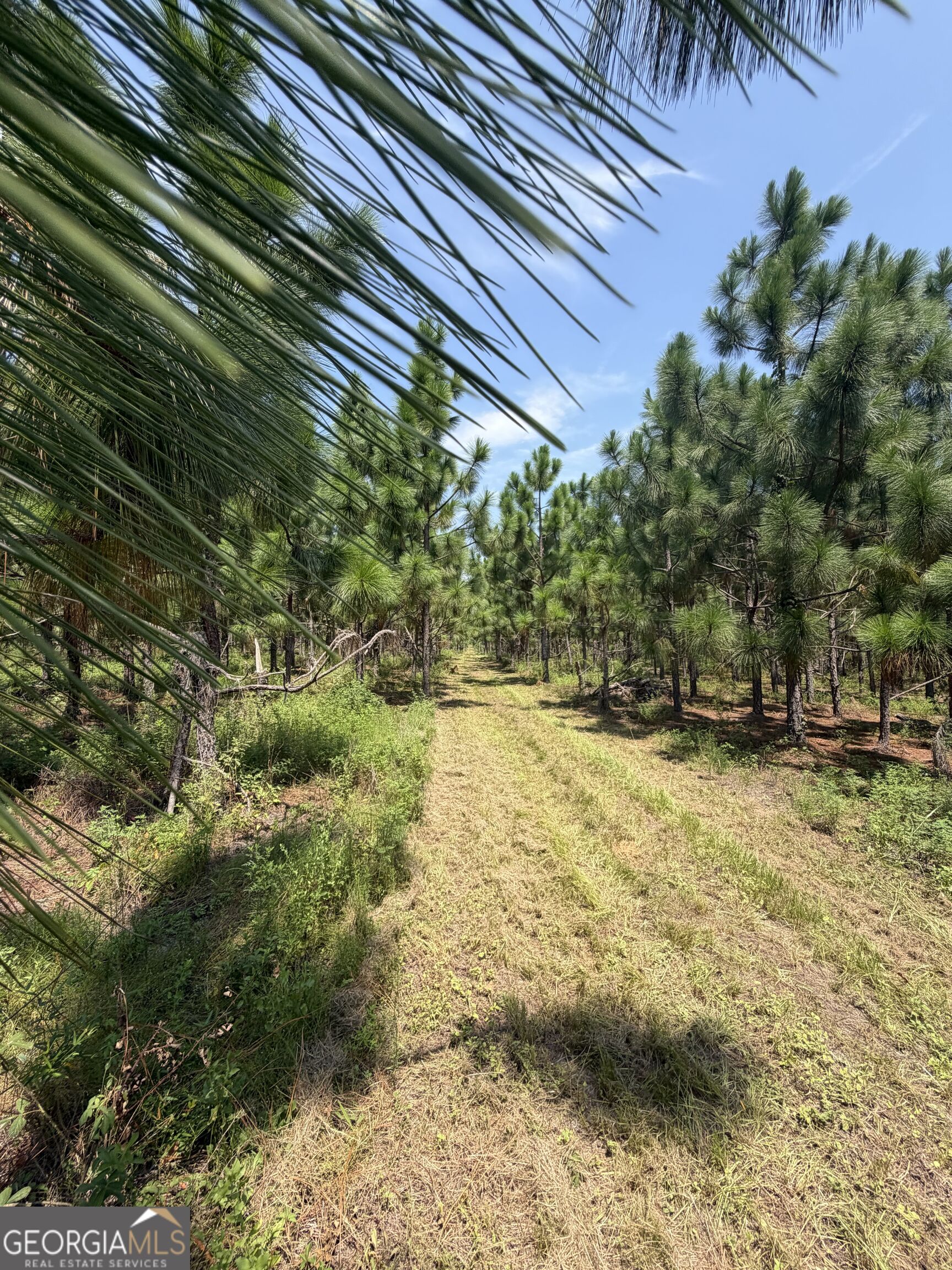 416 Ga Highway 107 Property Photo 39