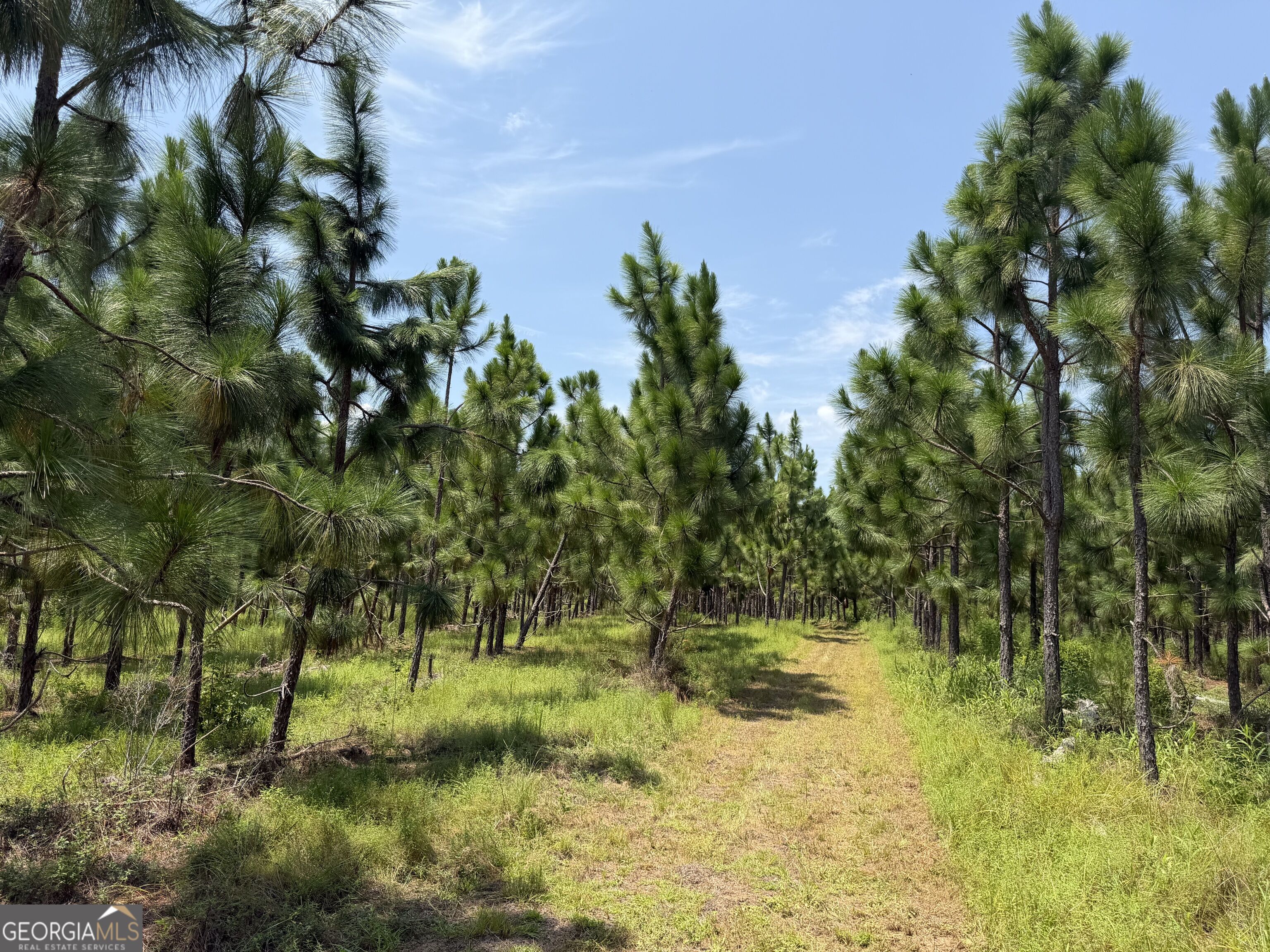 416 Ga Highway 107 Property Photo 40