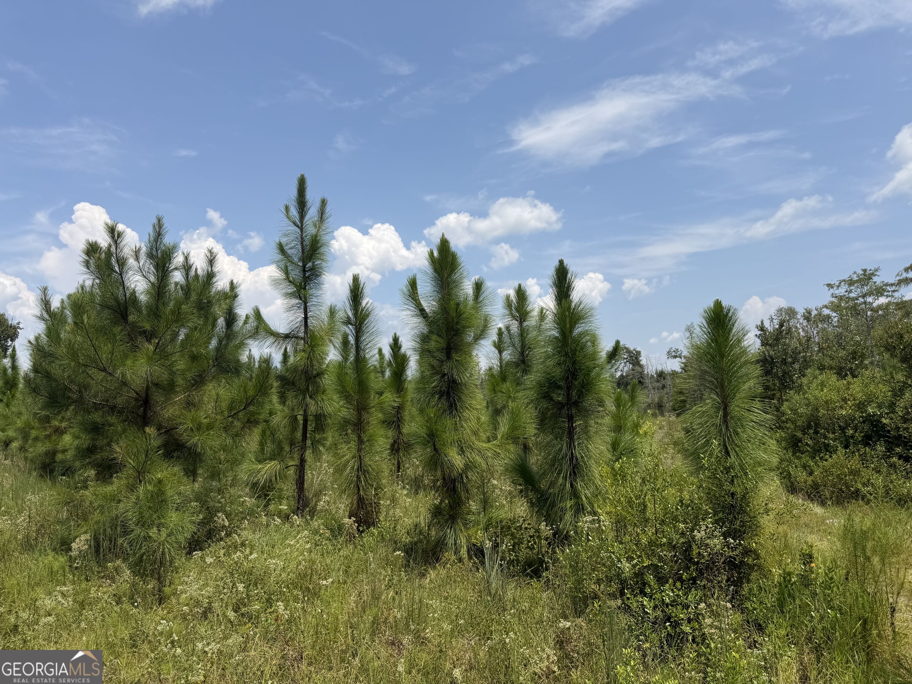 416 Ga Highway 107 Property Photo 41