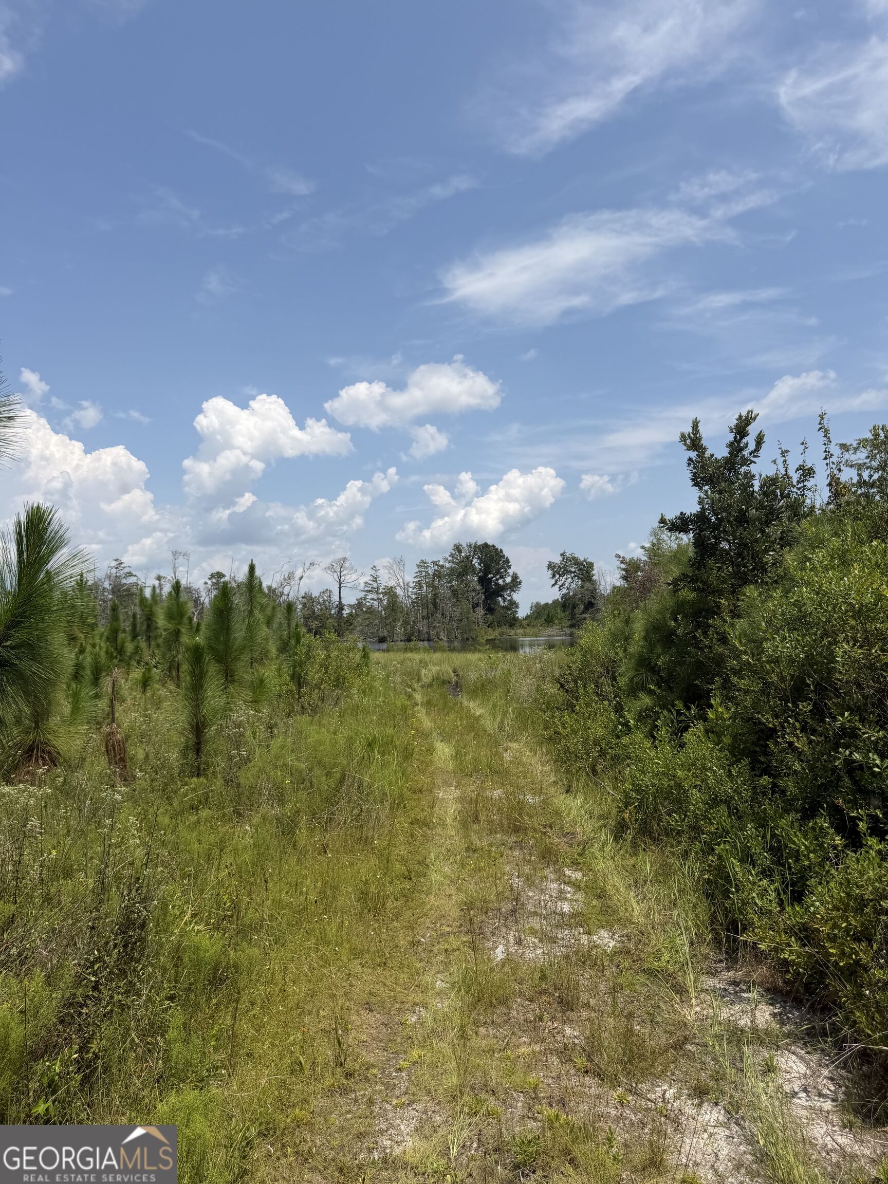 416 Ga Highway 107 Property Photo 42