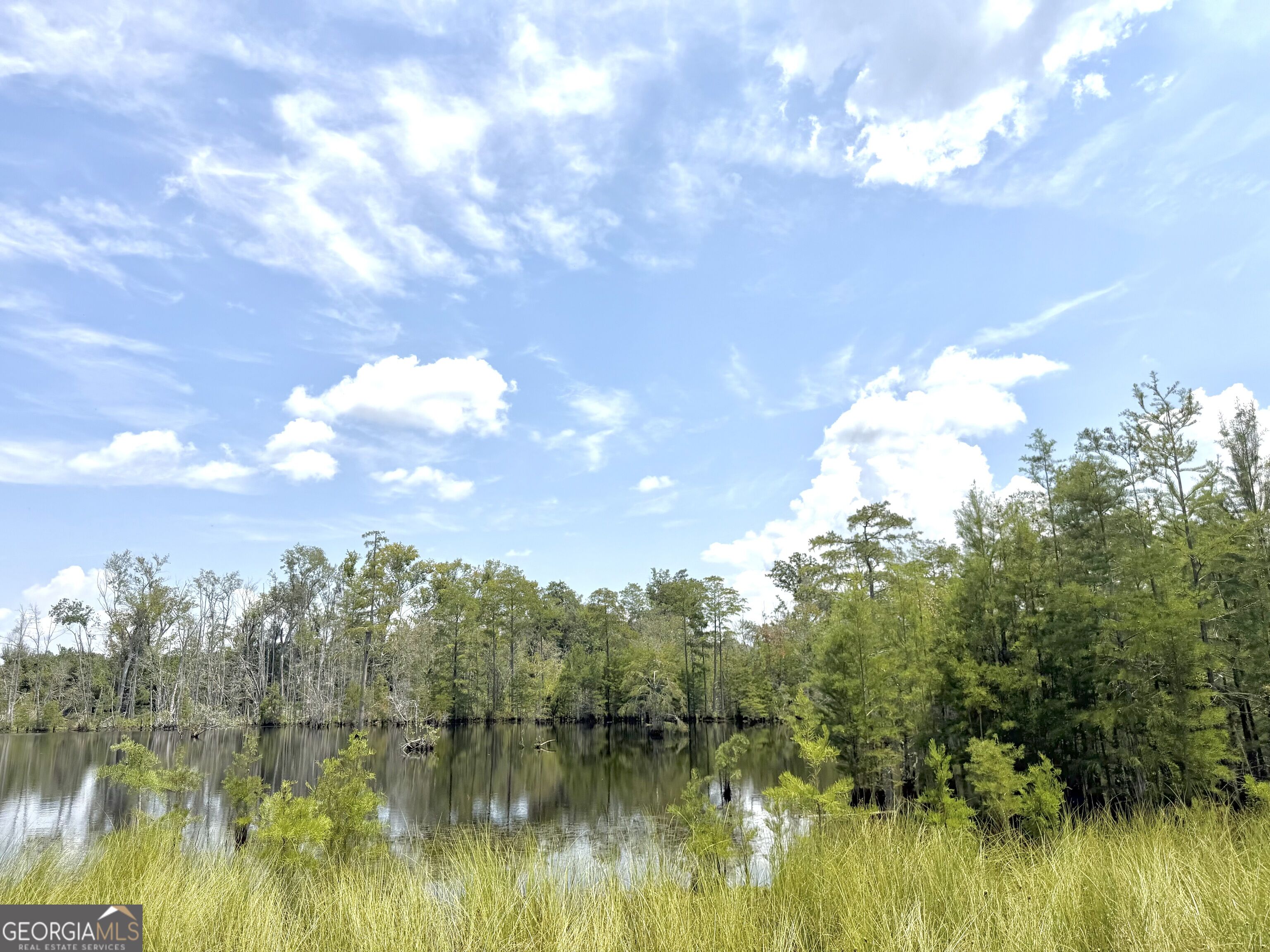 416 Ga Highway 107 Property Photo 43