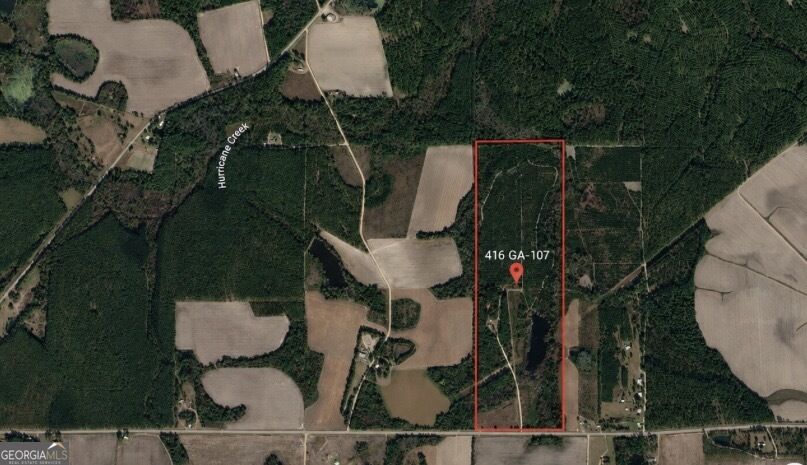 416 Ga Highway 107 Property Photo 44