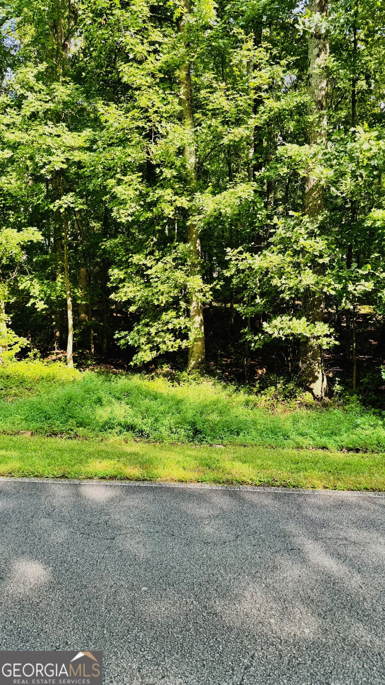 3242 Lakeview Parkway Property Photo 1