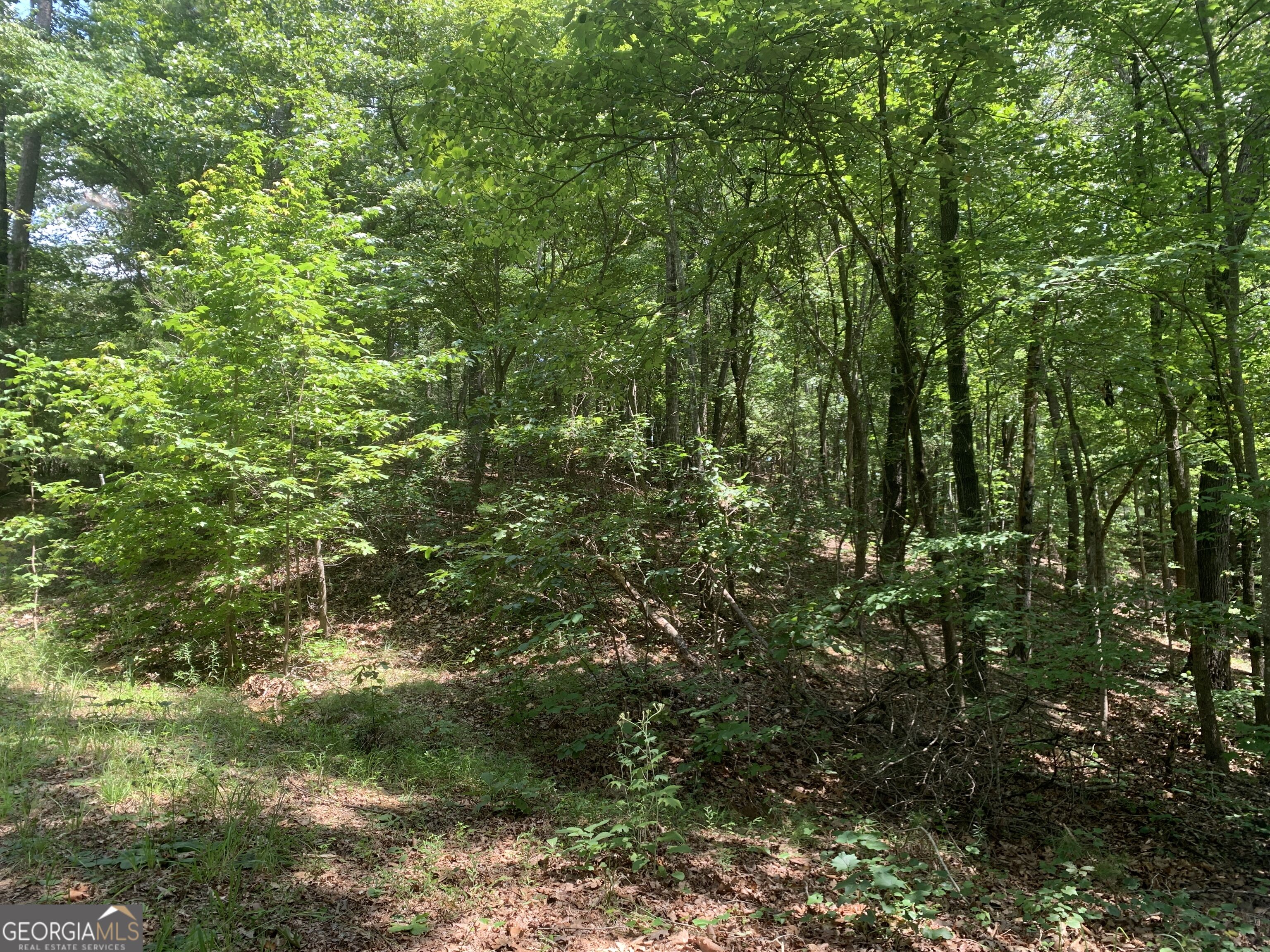 0 Grant Smith Property Photo 4