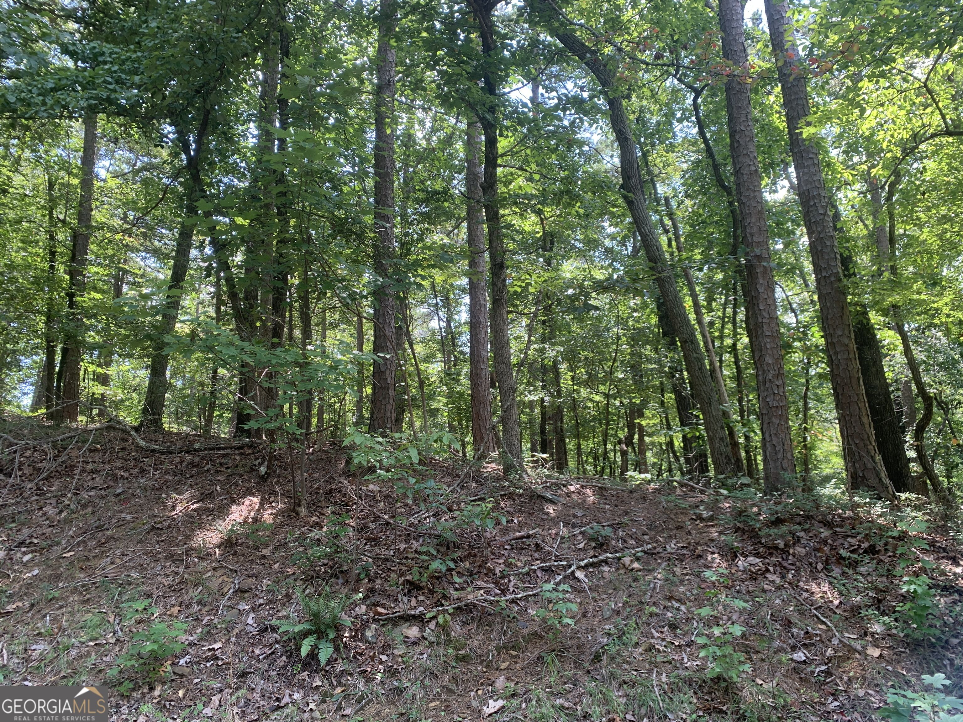 0 Grant Smith Property Photo 5