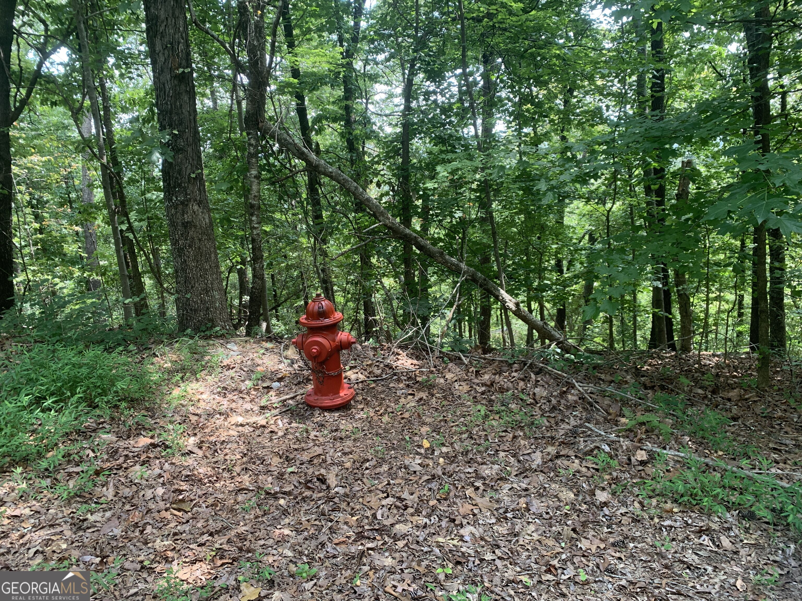 0 Grant Smith Property Photo 6