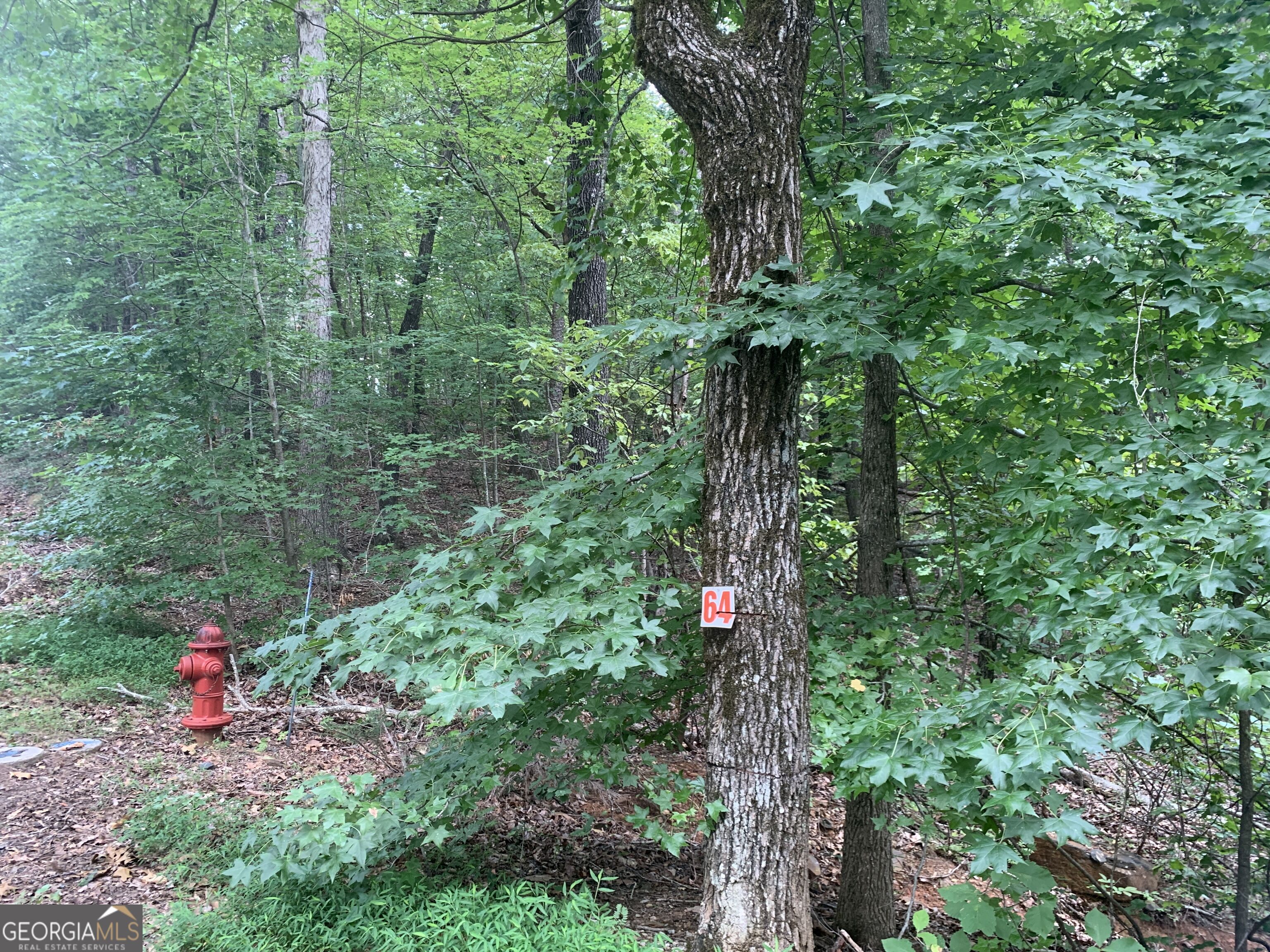 0 Grant Smith Property Photo 8