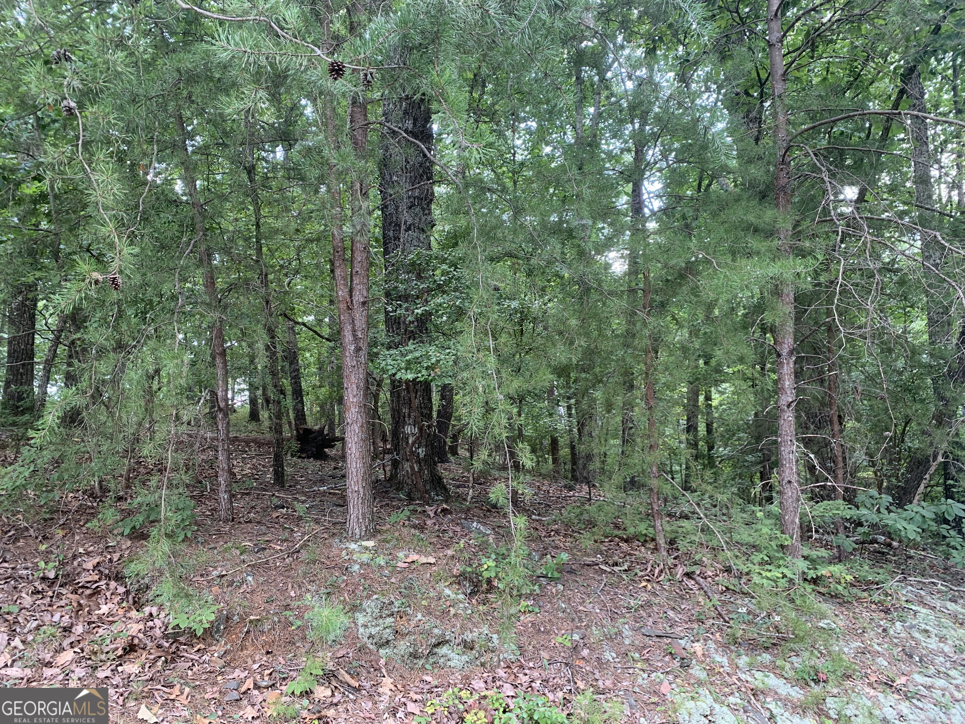 0 Grant Smith Property Photo 9
