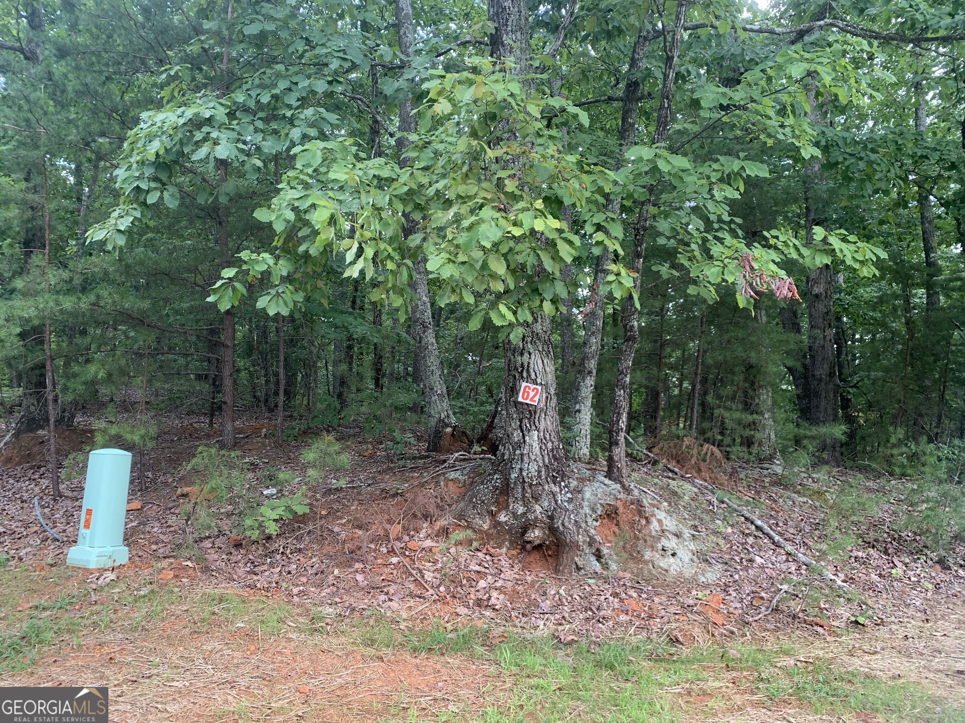 0 Grant Smith Property Photo 10