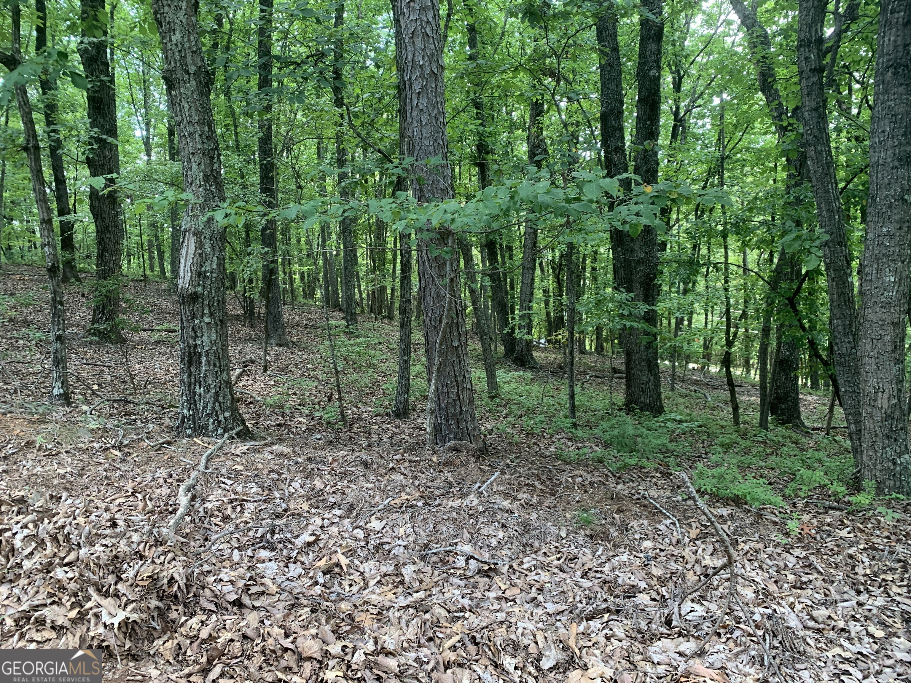 0 Grant Smith Property Photo 12