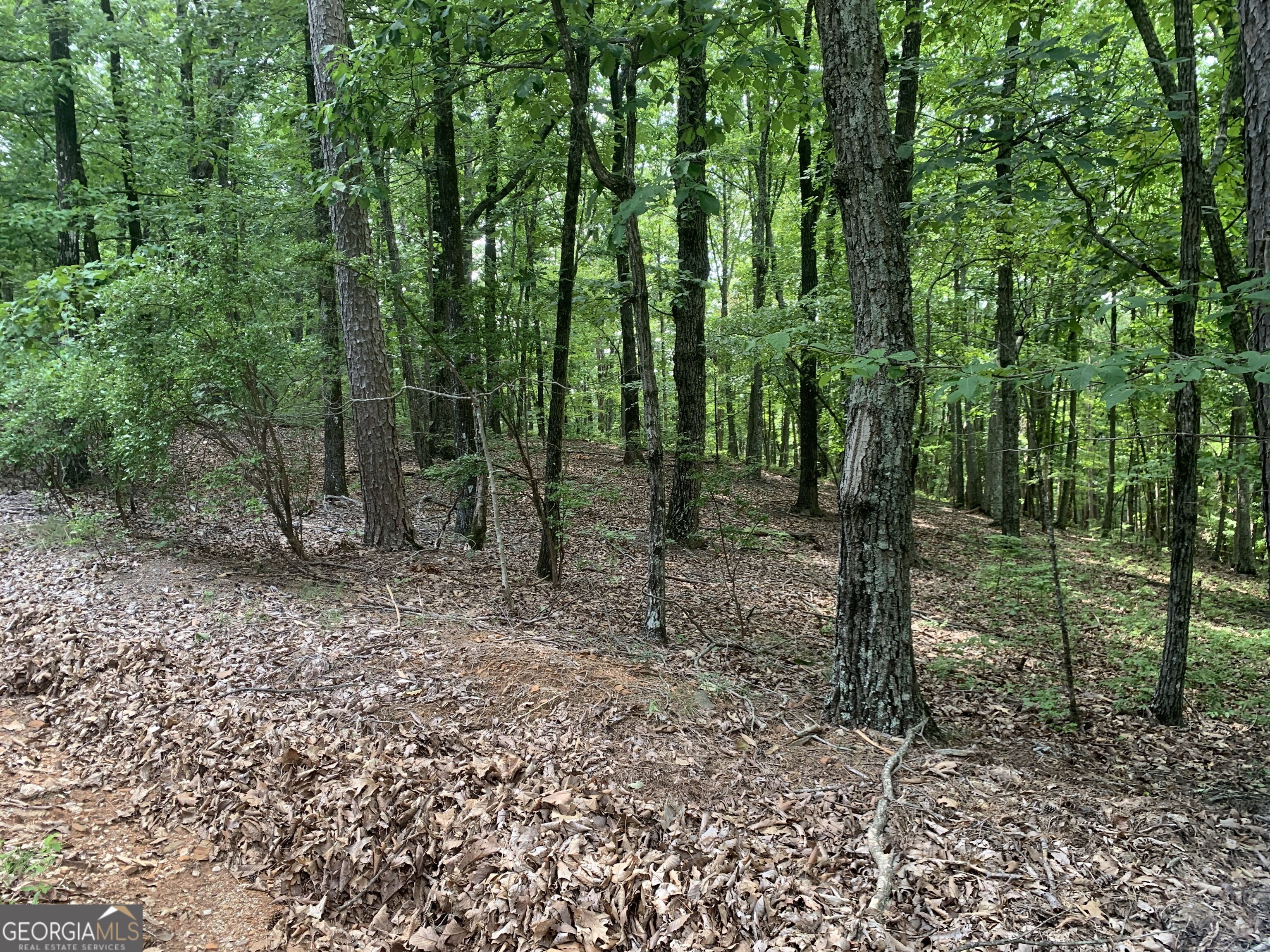 0 Grant Smith Property Photo 13