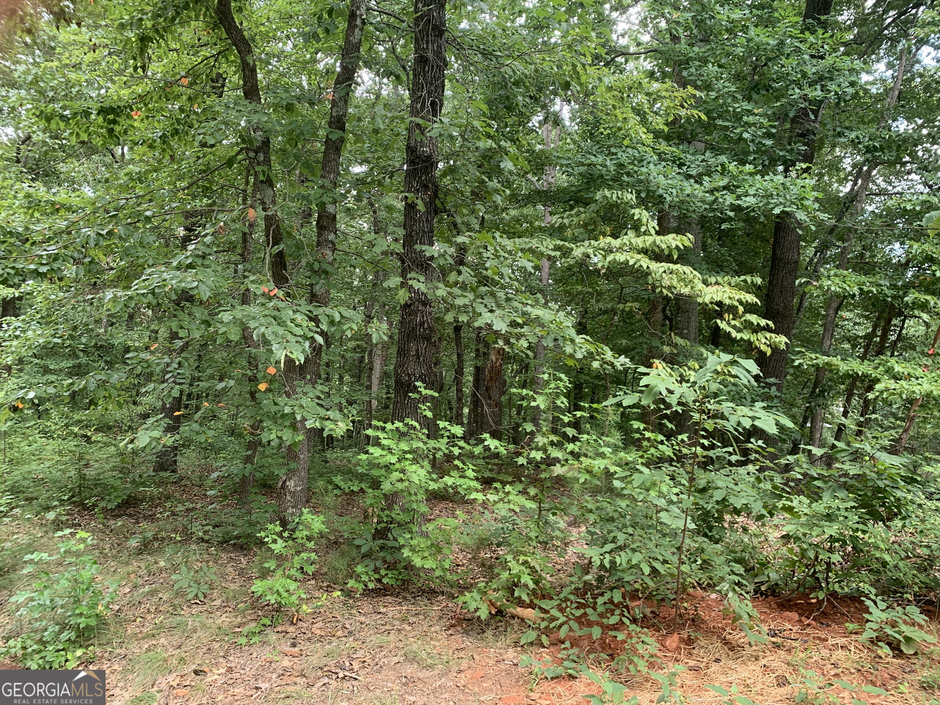 0 Grant Smith Property Photo 14