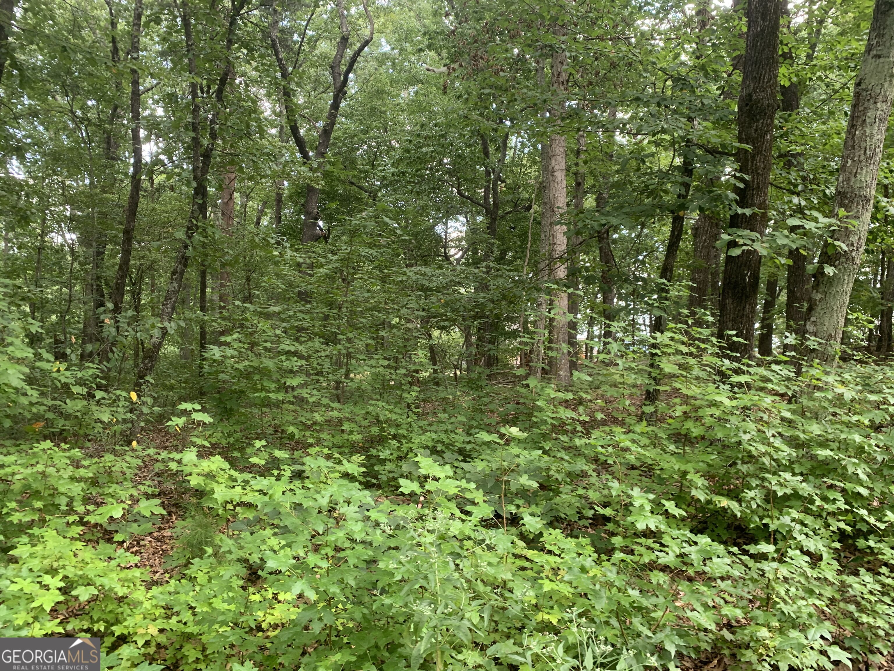 0 Grant Smith Property Photo 15