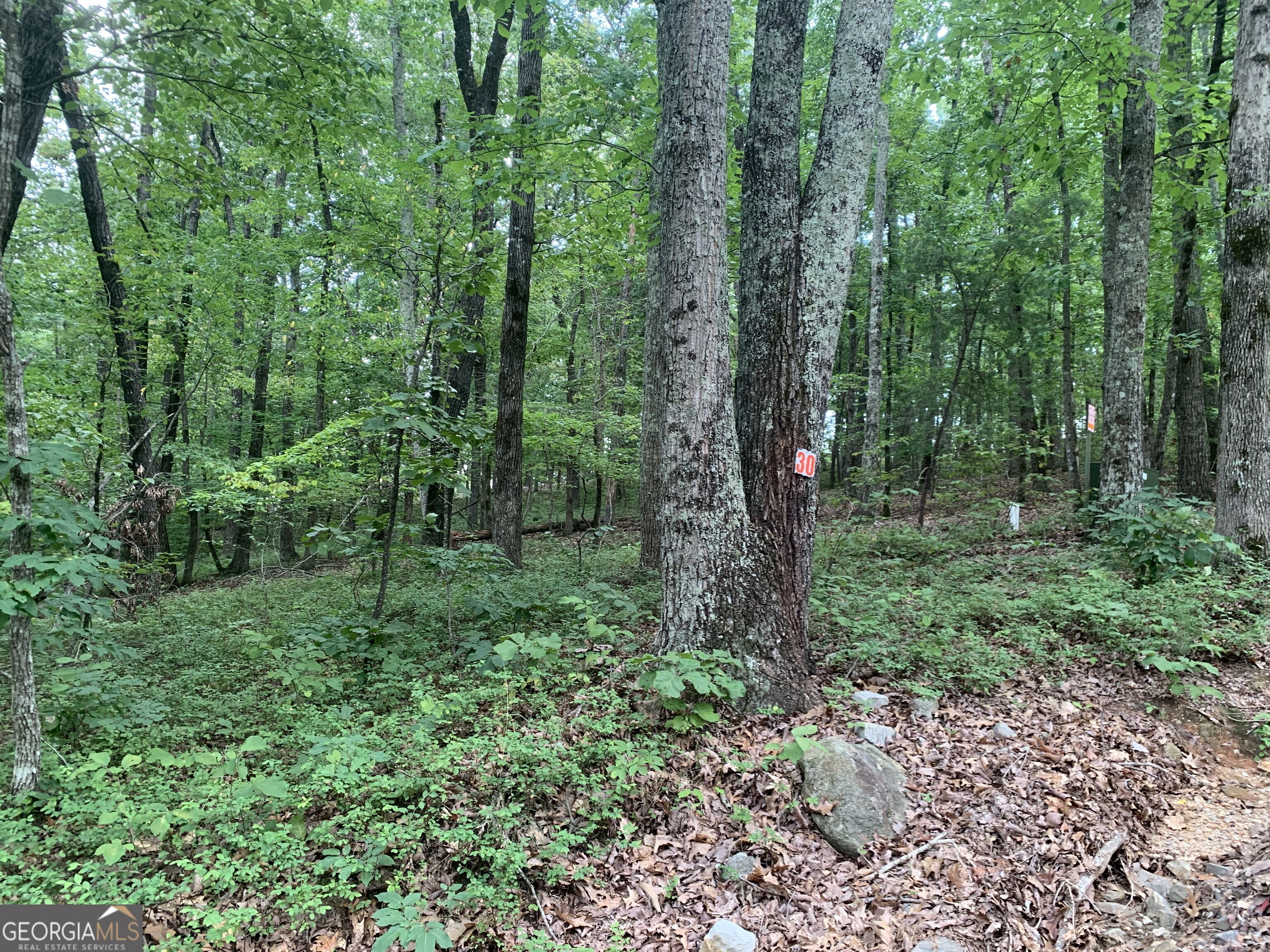0 Grant Smith Property Photo 17