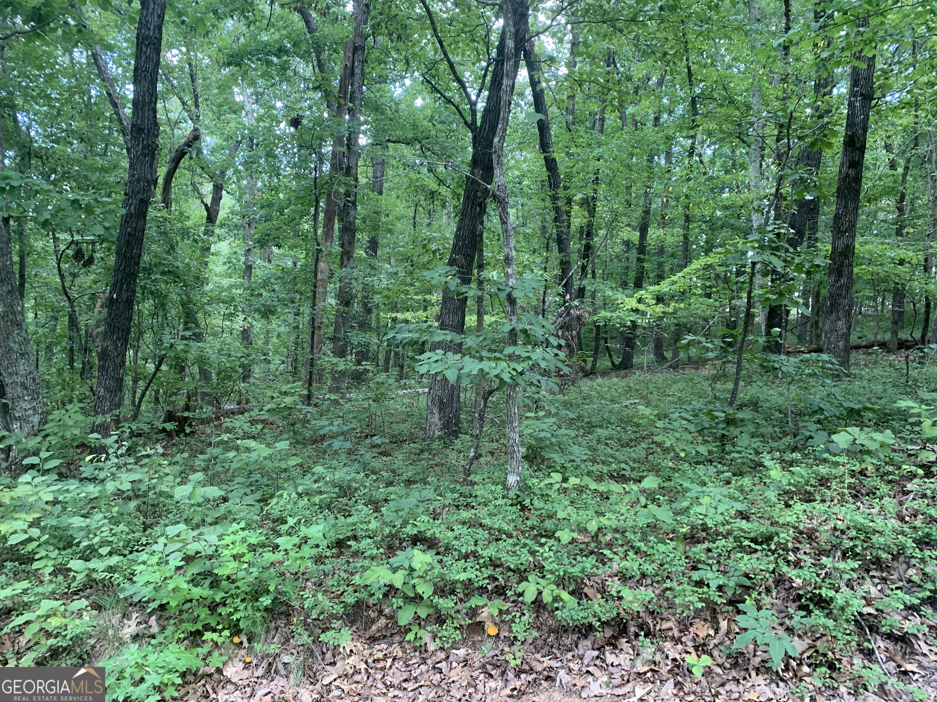 0 Grant Smith Property Photo 18