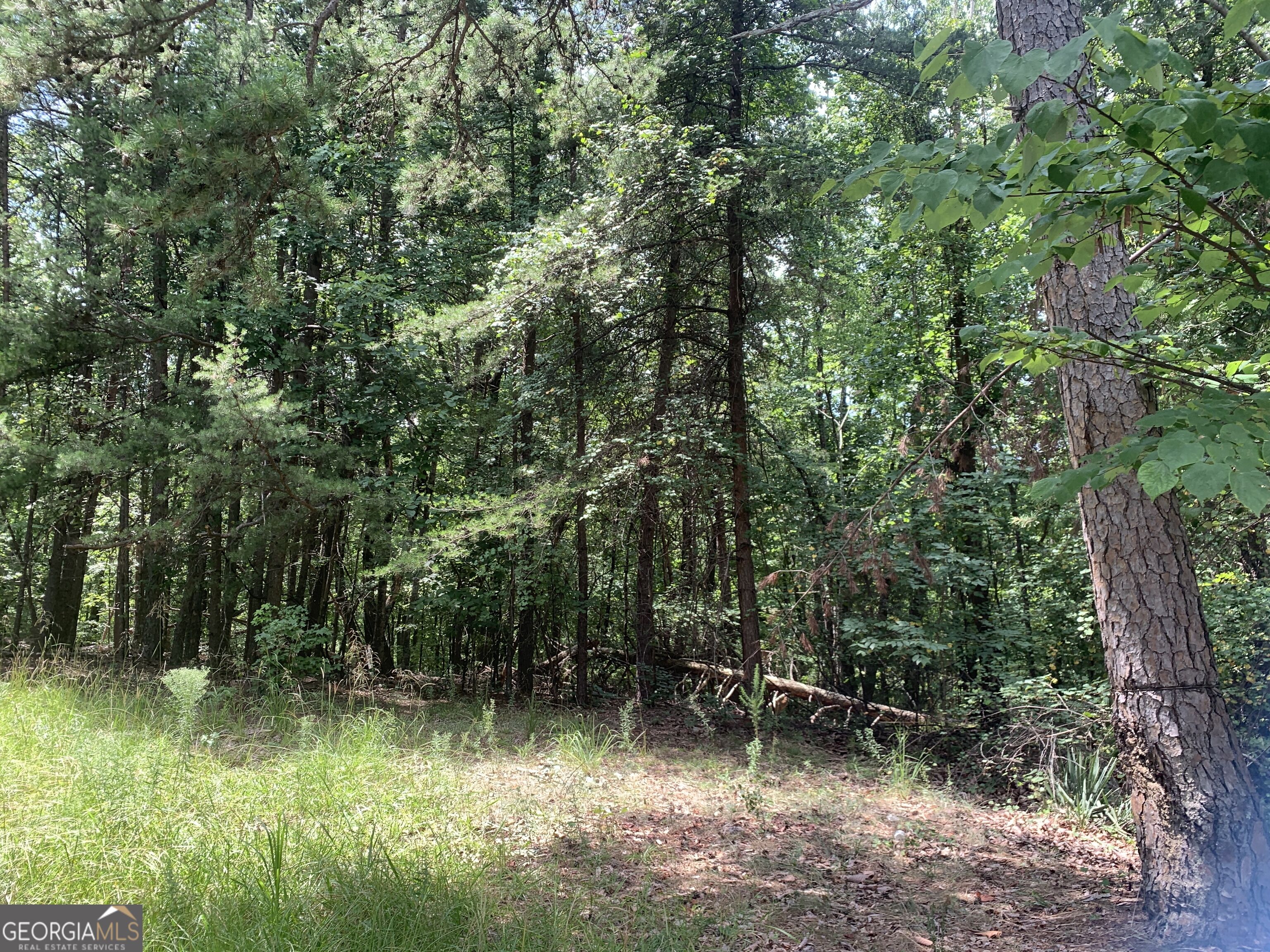 0 Grant Smith Property Photo 26