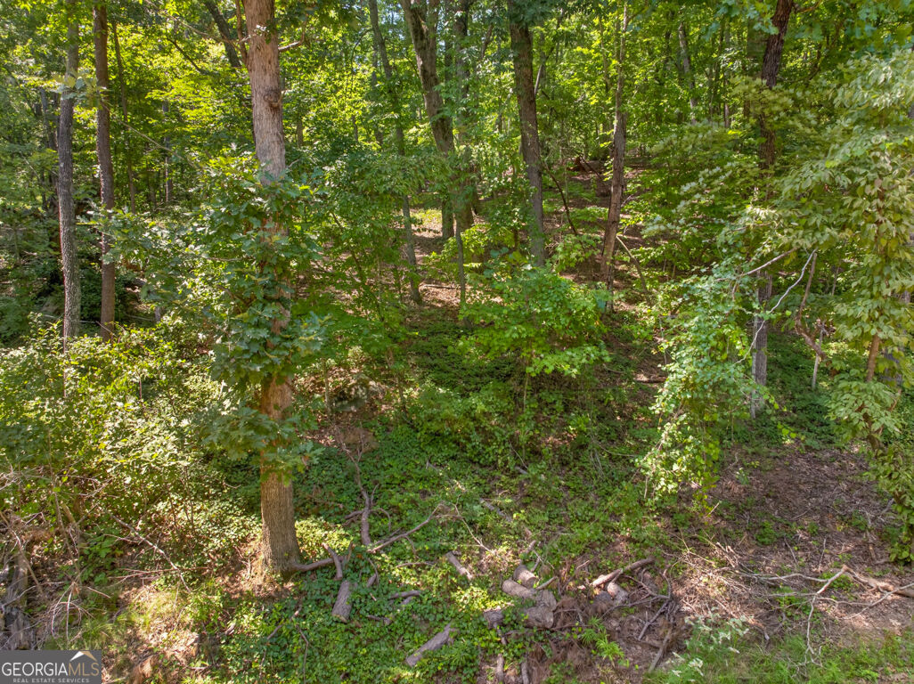 0 Waters Edge Drive Property Photo 4