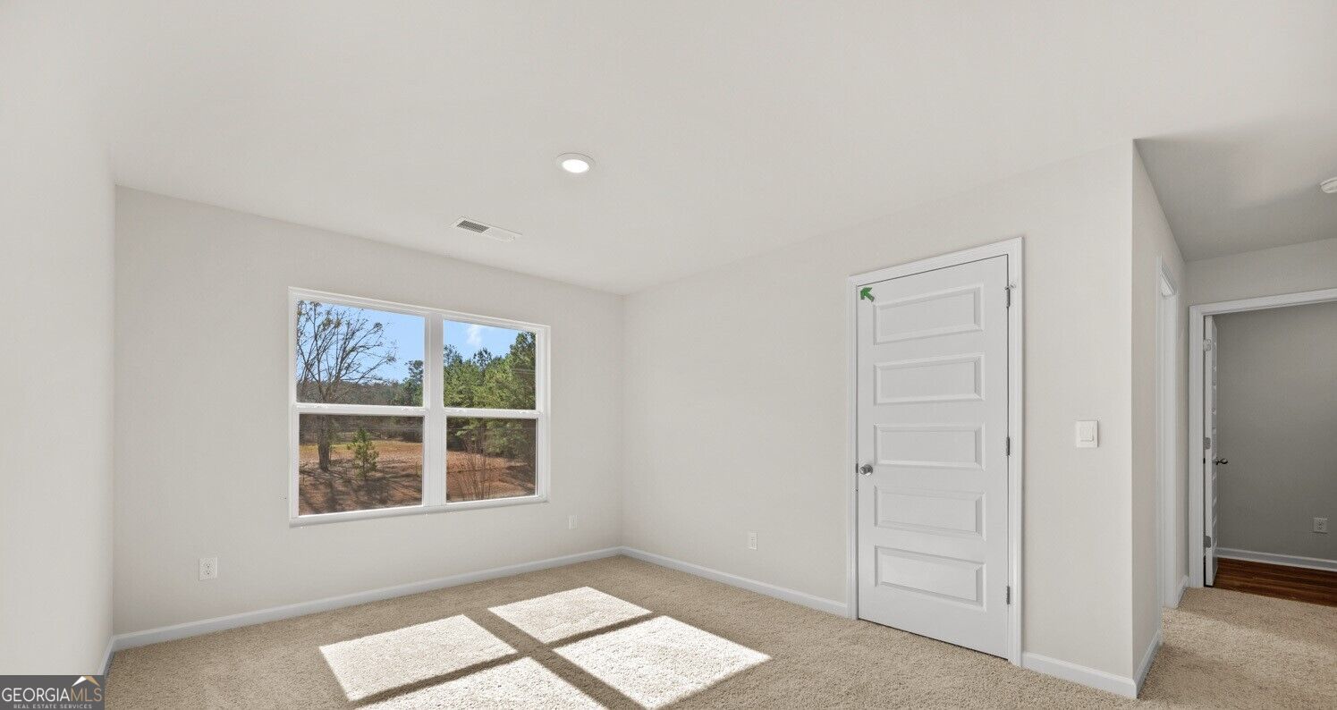 508 Alder Lane Court Property Photo 19