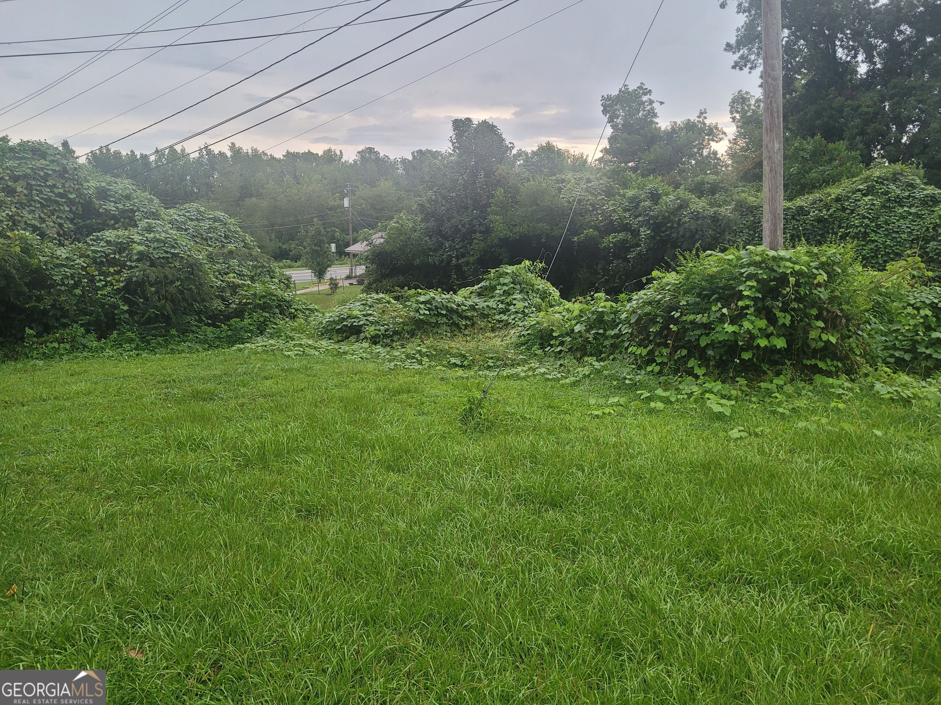 1100 N Reddick Road Property Photo 2