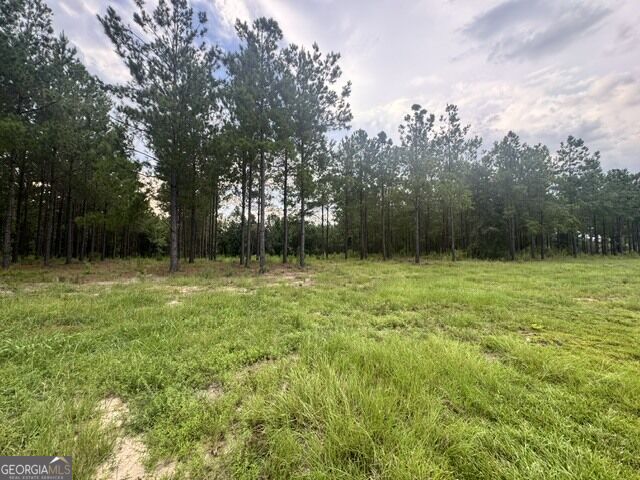 0 Dewey Thomas Road Property Photo 2