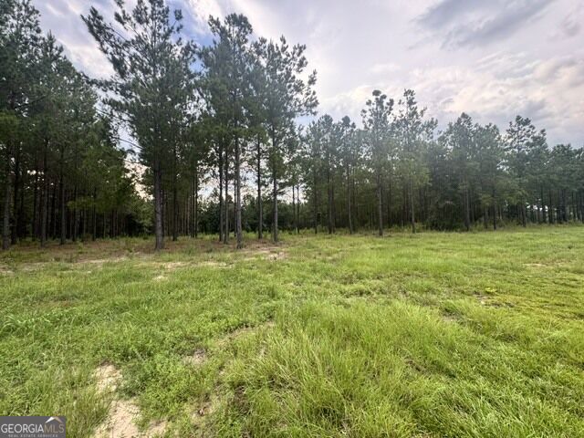 0 Dewey Thomas Road Property Photo 3