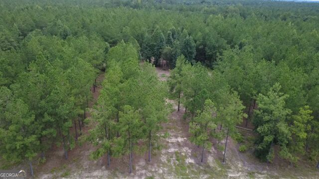 0 Dewey Thomas Road Property Photo 7