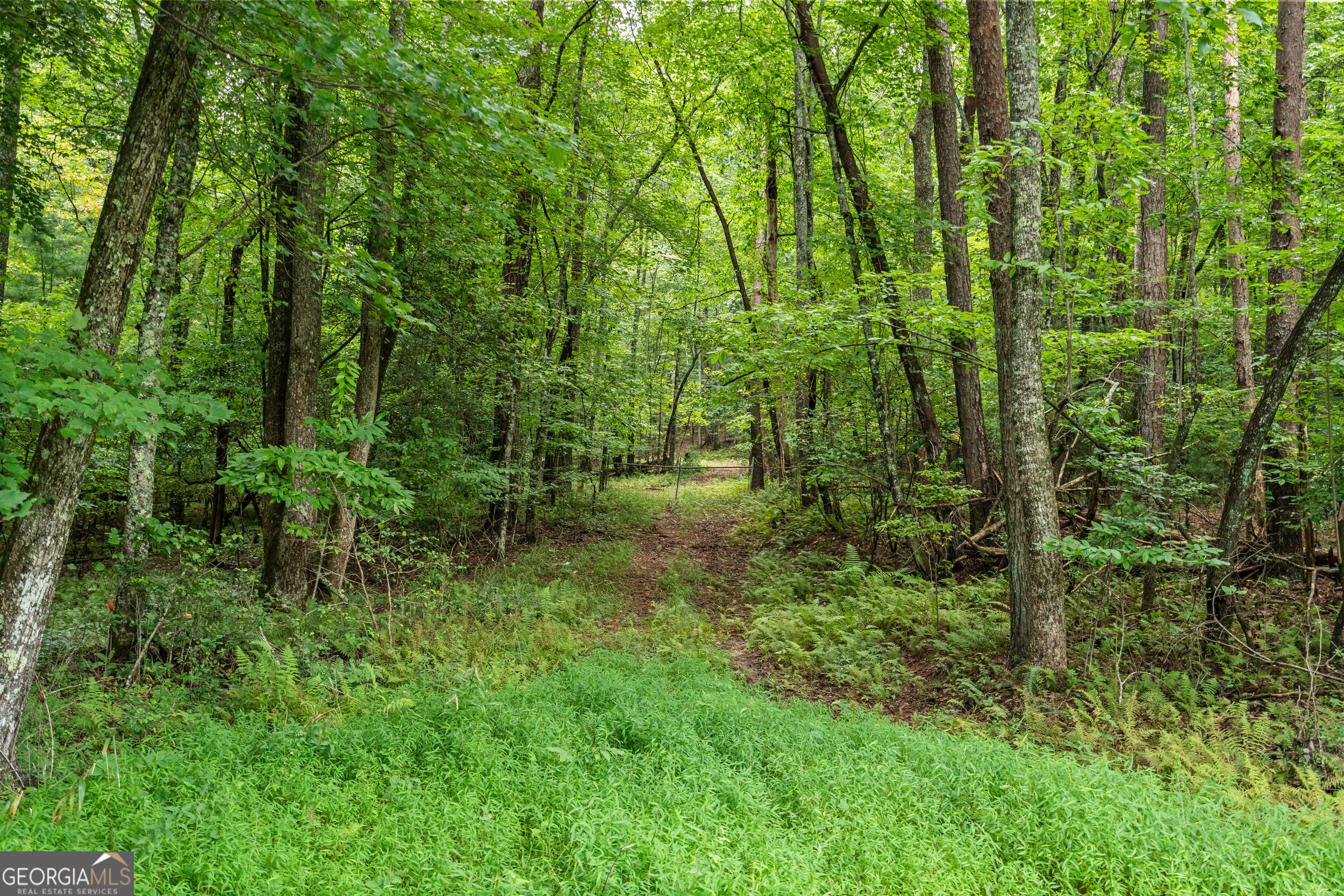 32 Raven Ridge Property Photo 12