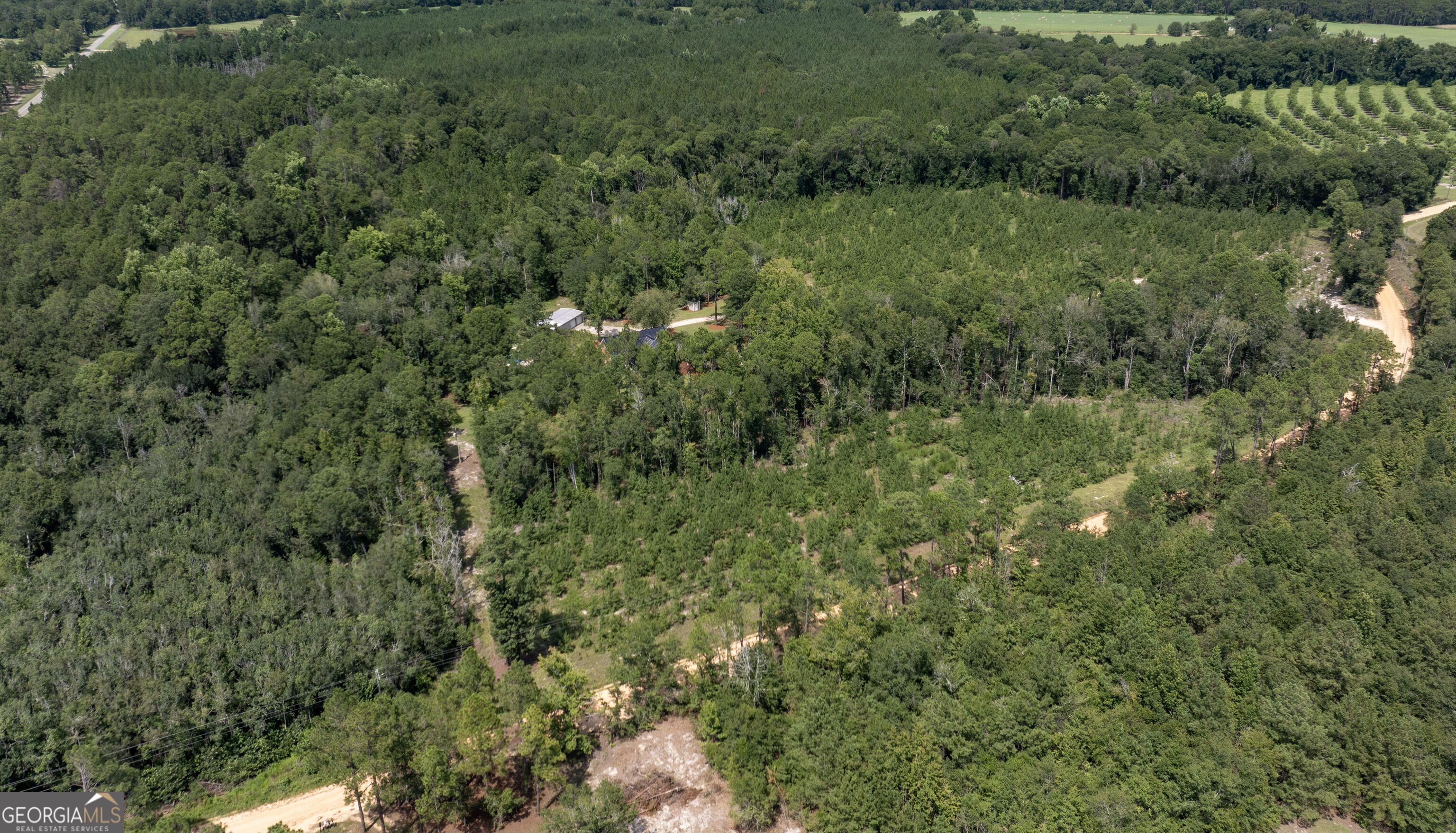 449 Roscoe Smith Property Photo 28