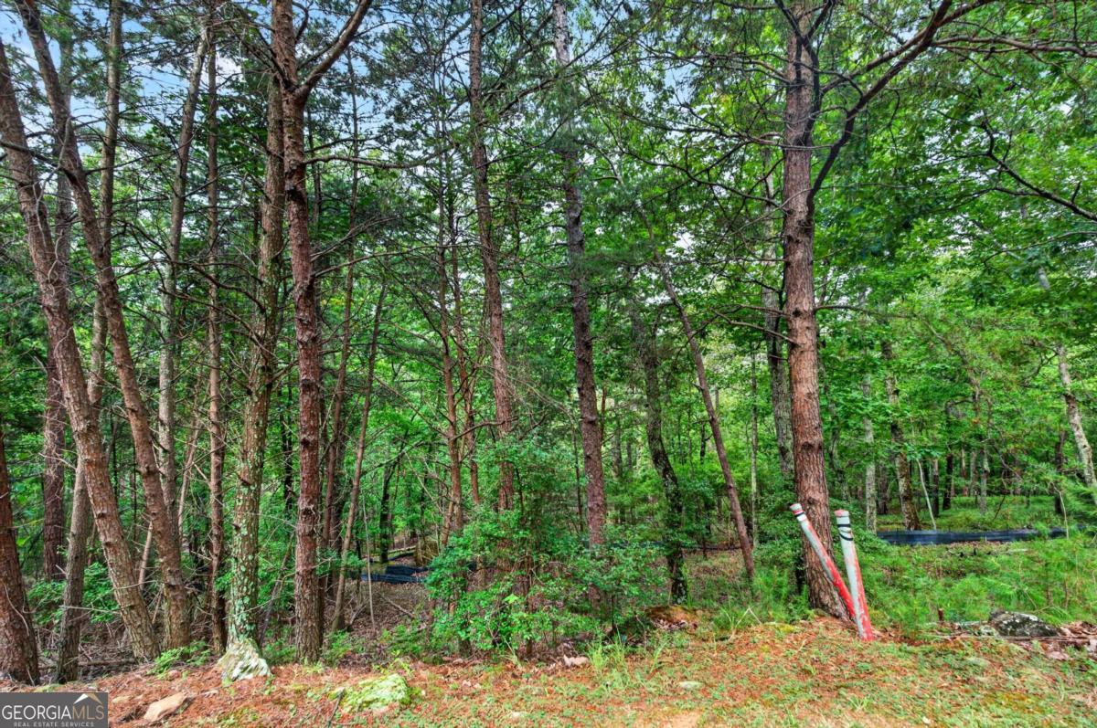 16 Ridgewater Drive Se Property Photo 3
