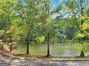 1800 Clairmont Lake # A204 Property Photo 3
