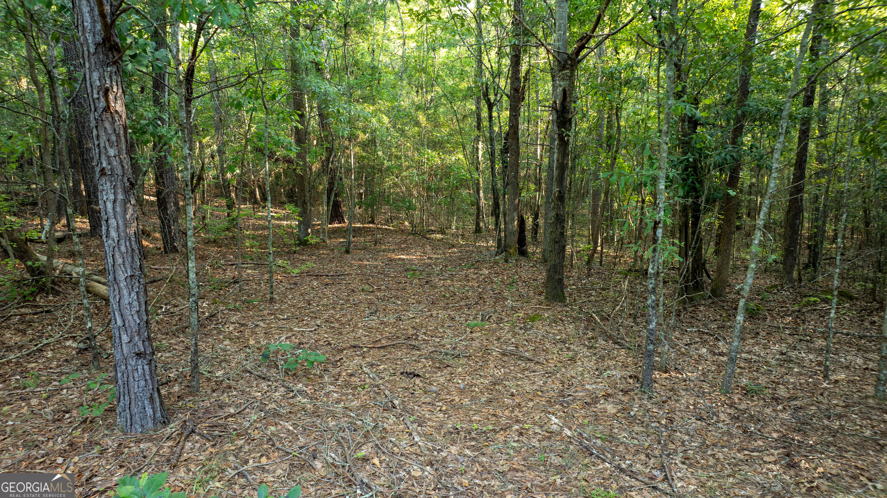 0 Allgood Road Property Photo 12