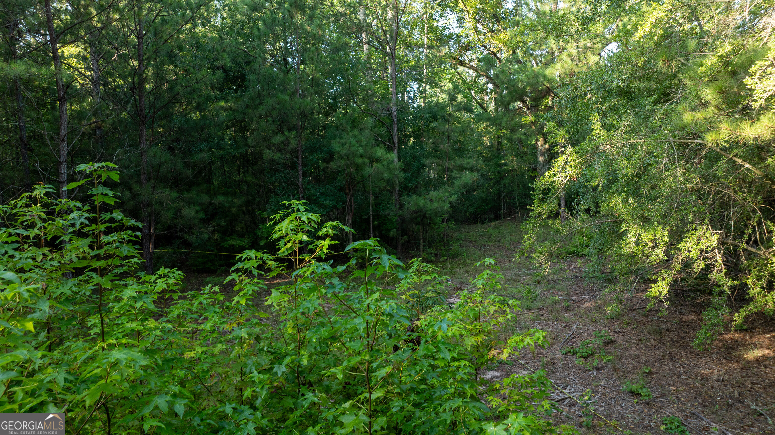 0 Allgood Road Property Photo 13